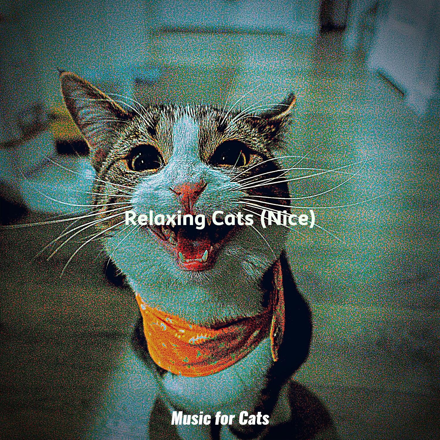 Постер альбома Relaxing Cats (Nice)