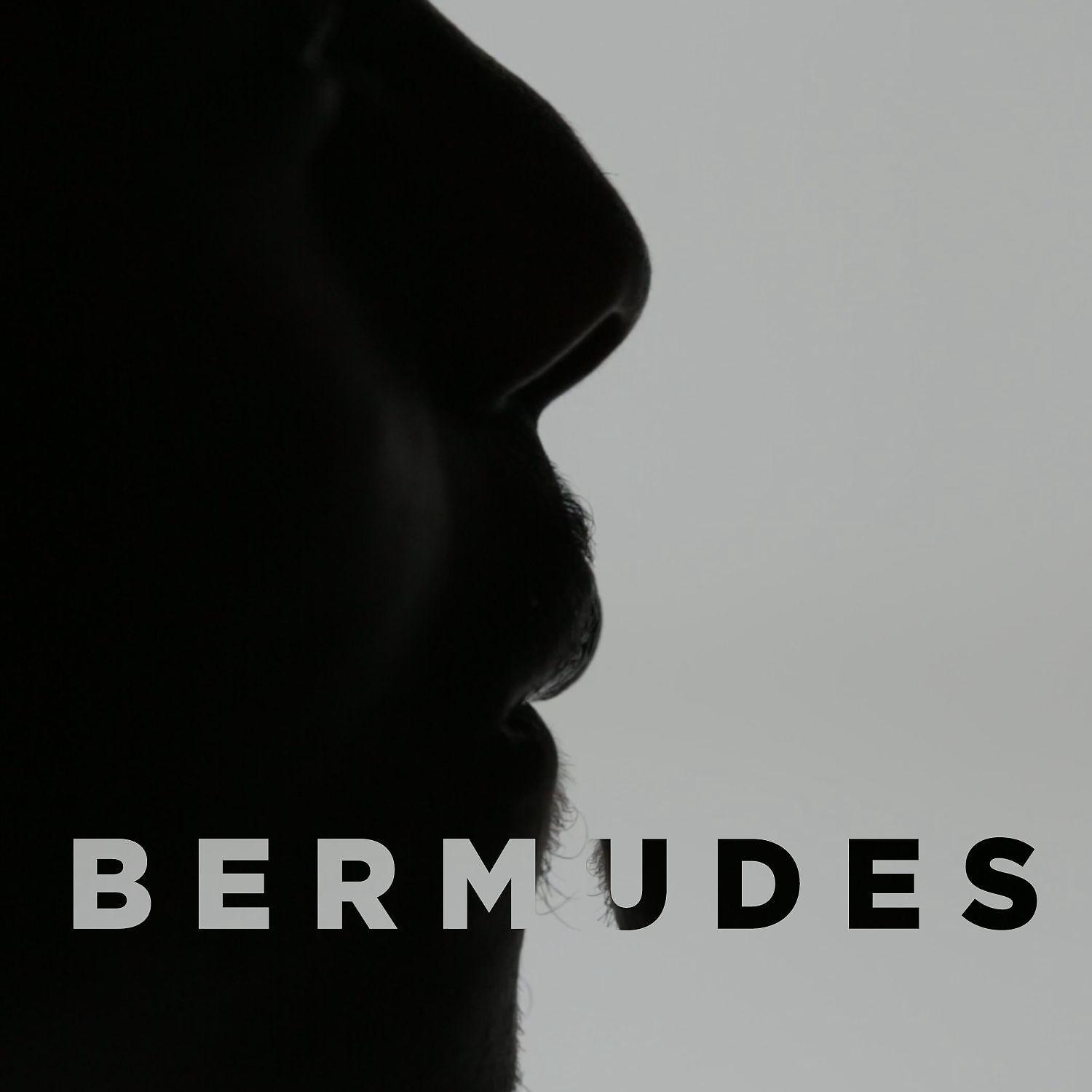 Постер альбома BERMUDES