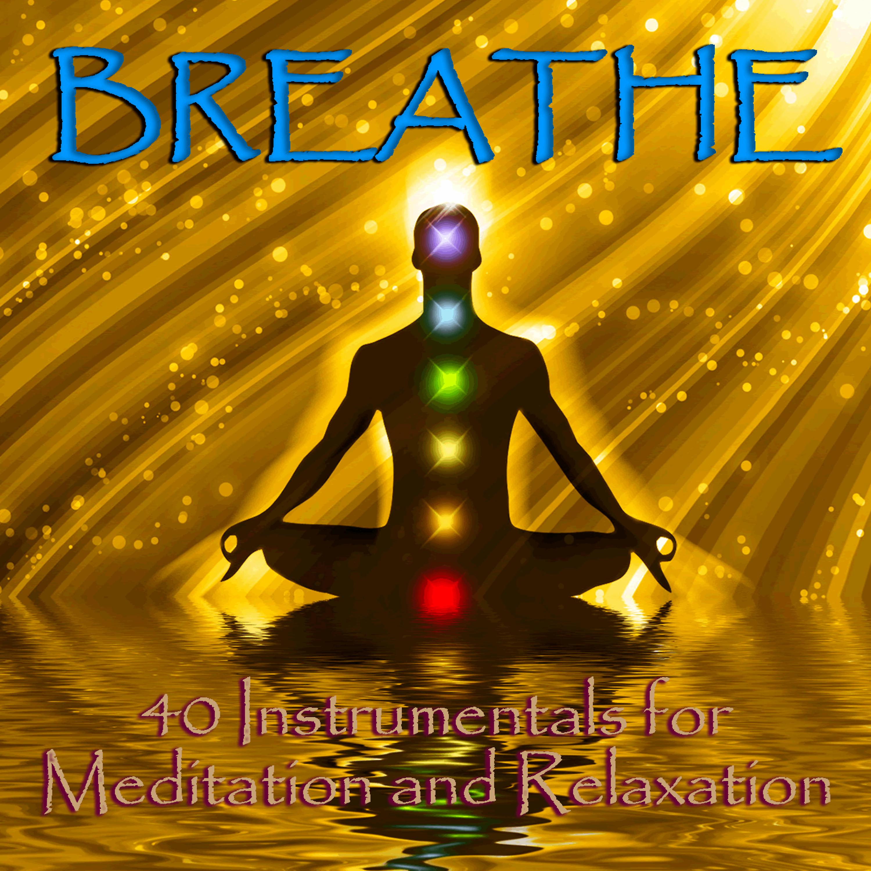 Постер альбома Breathe: 40 Relaxing Instrumentals for Meditation and Relaxation