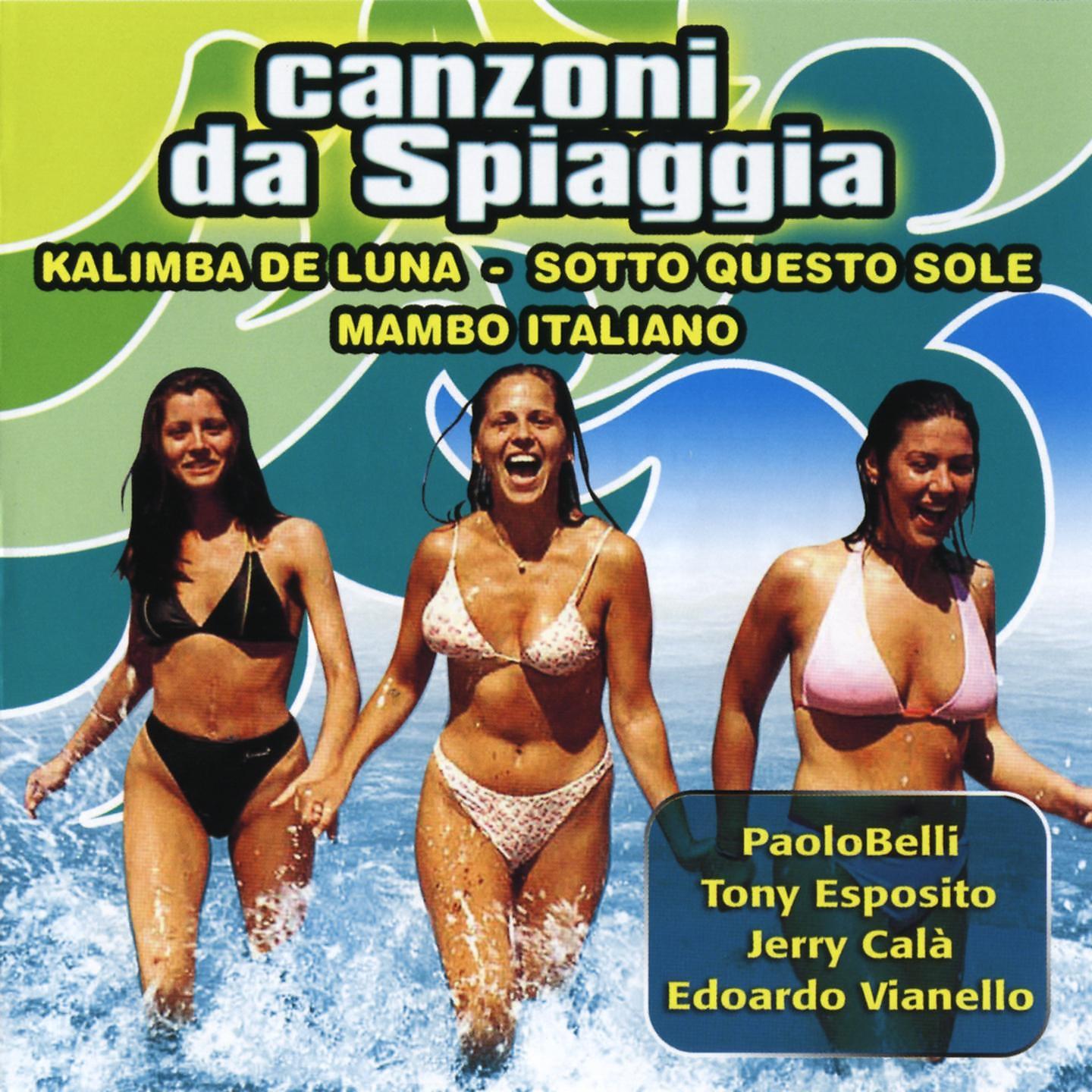 Постер альбома Canzoni Da Spiaggia