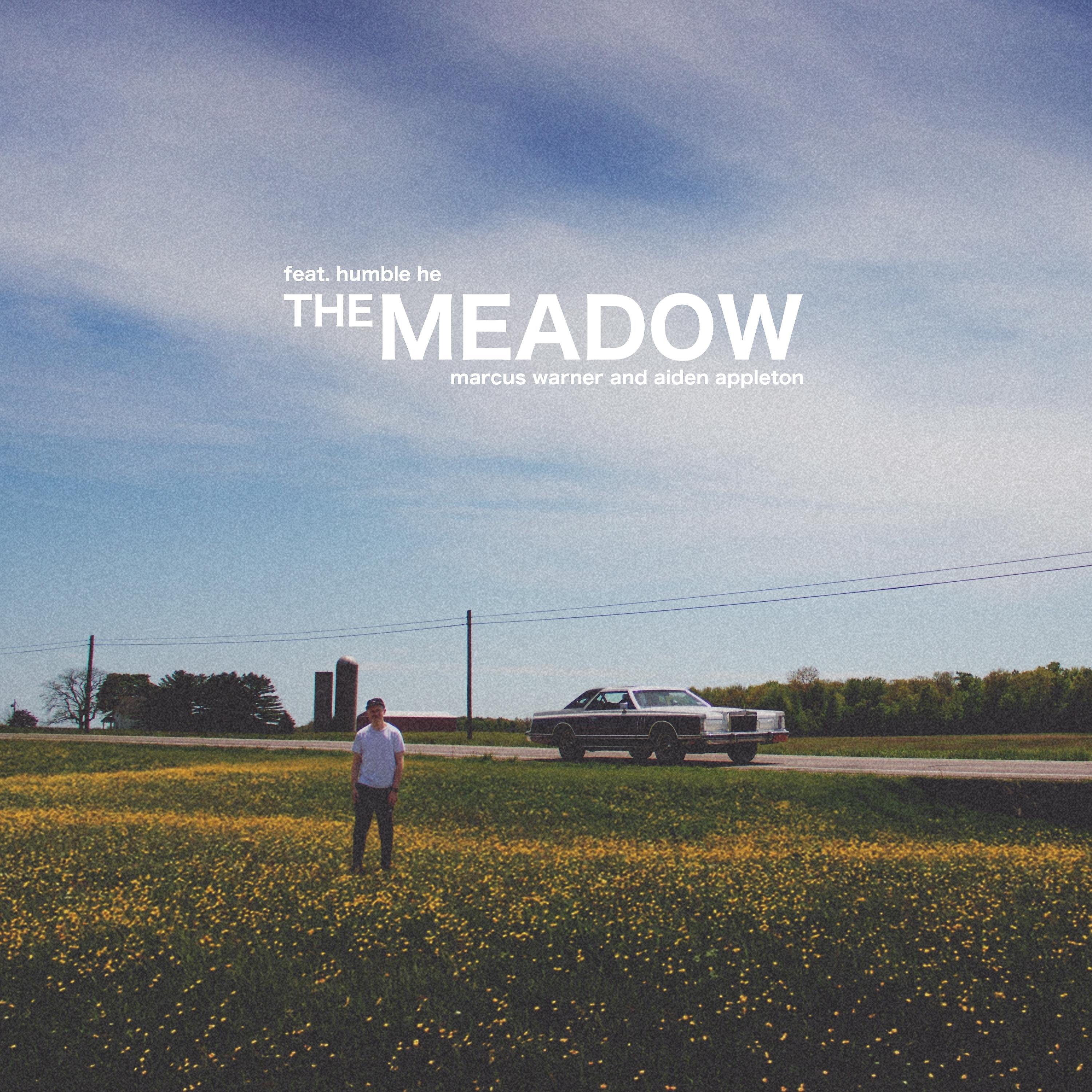 Постер альбома The Meadow