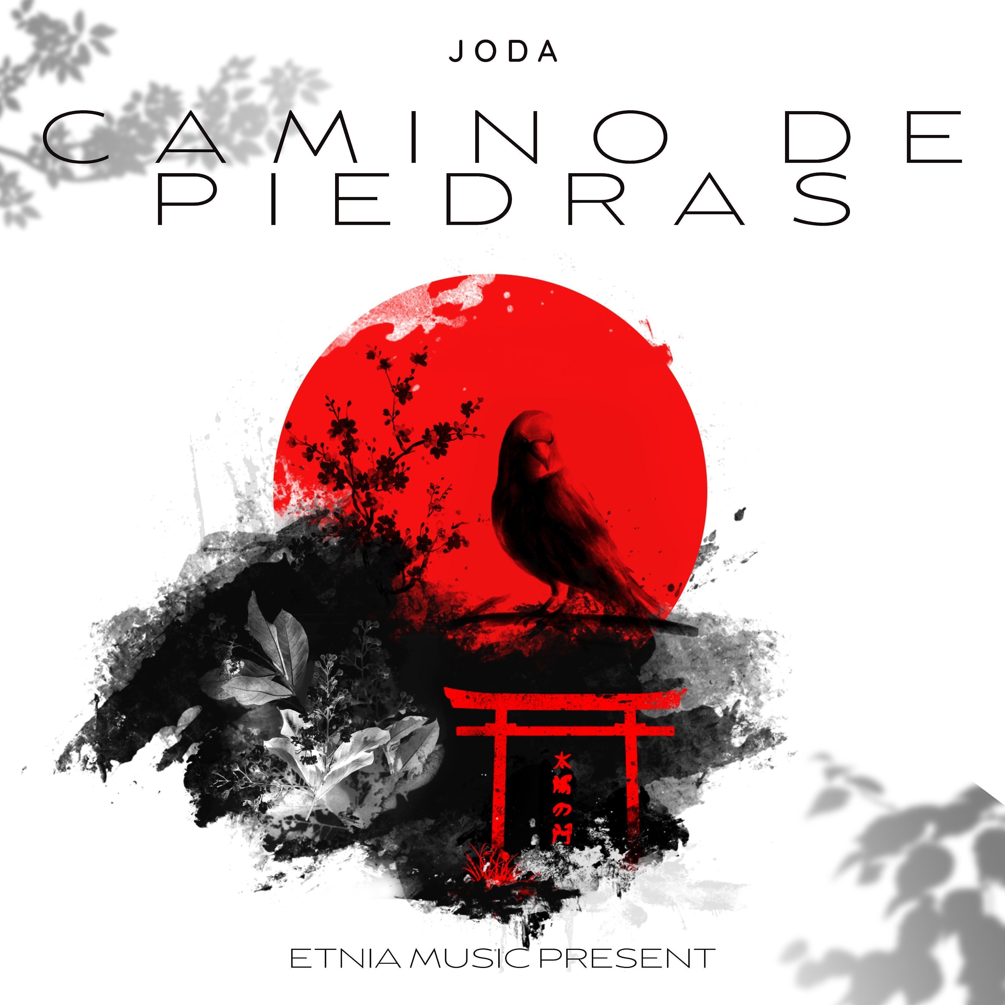 Постер альбома Camino de Piedras