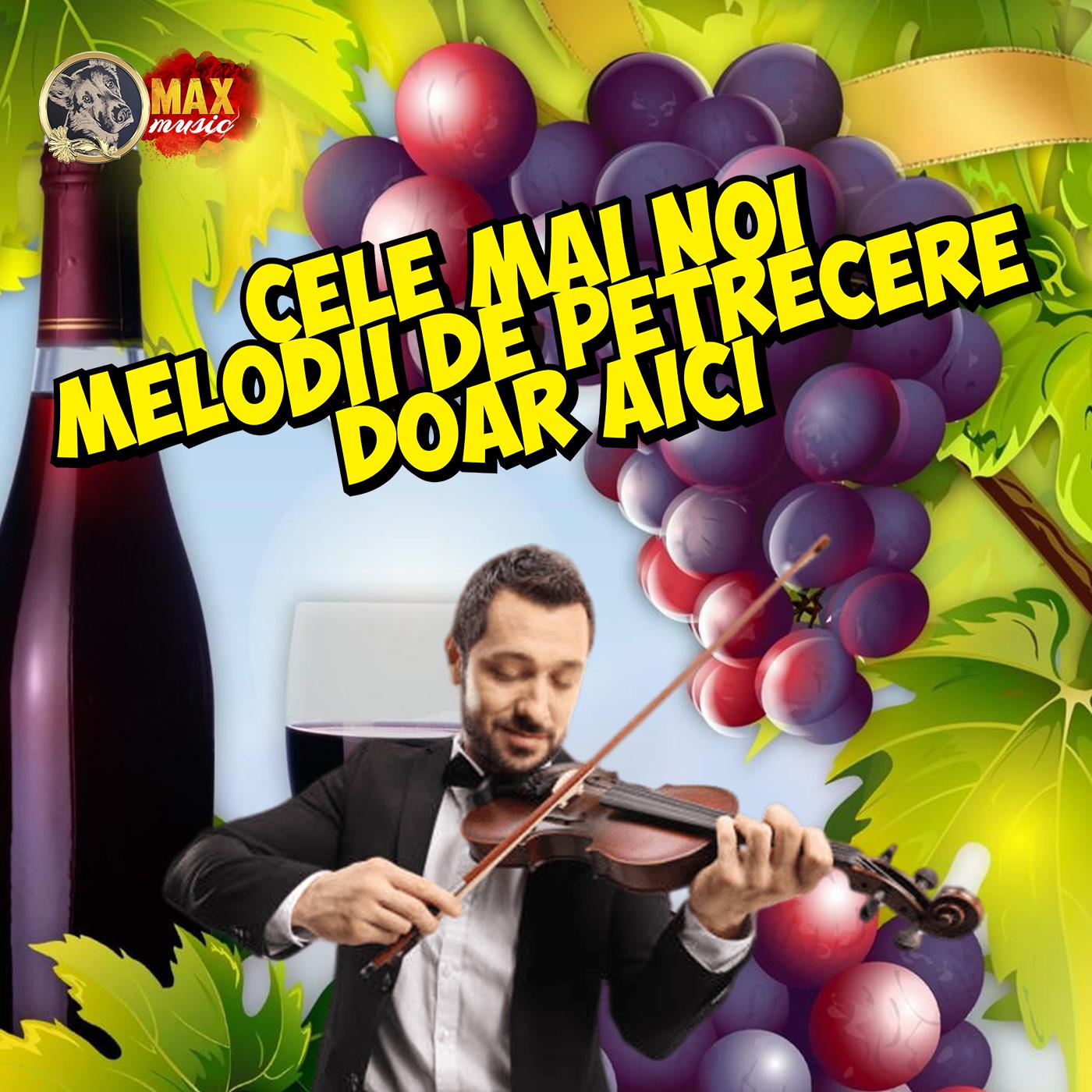 Постер альбома Cele Mai Noi Melodii de Petrecere Doar Aici