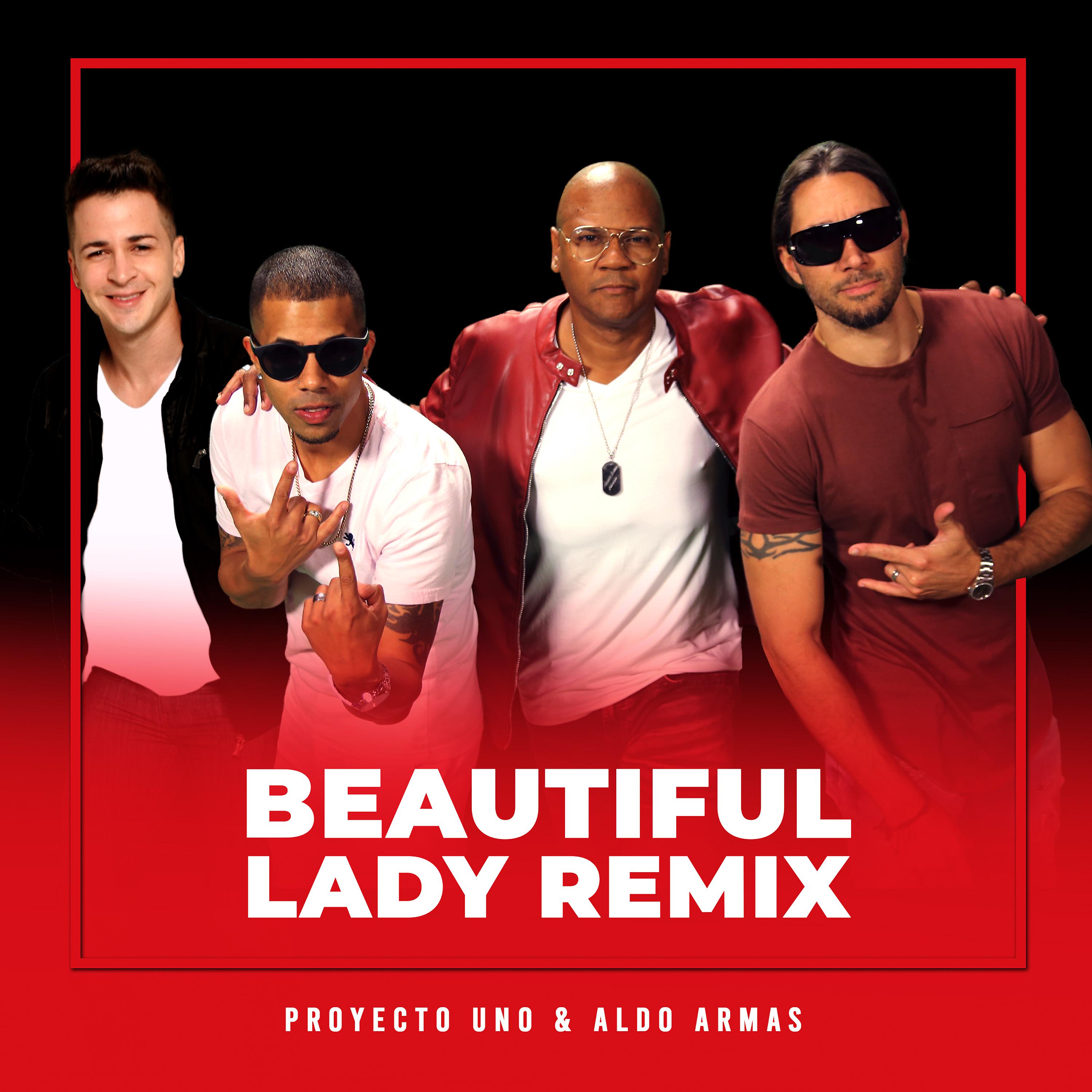 Постер альбома Beautiful Lady (Remix)