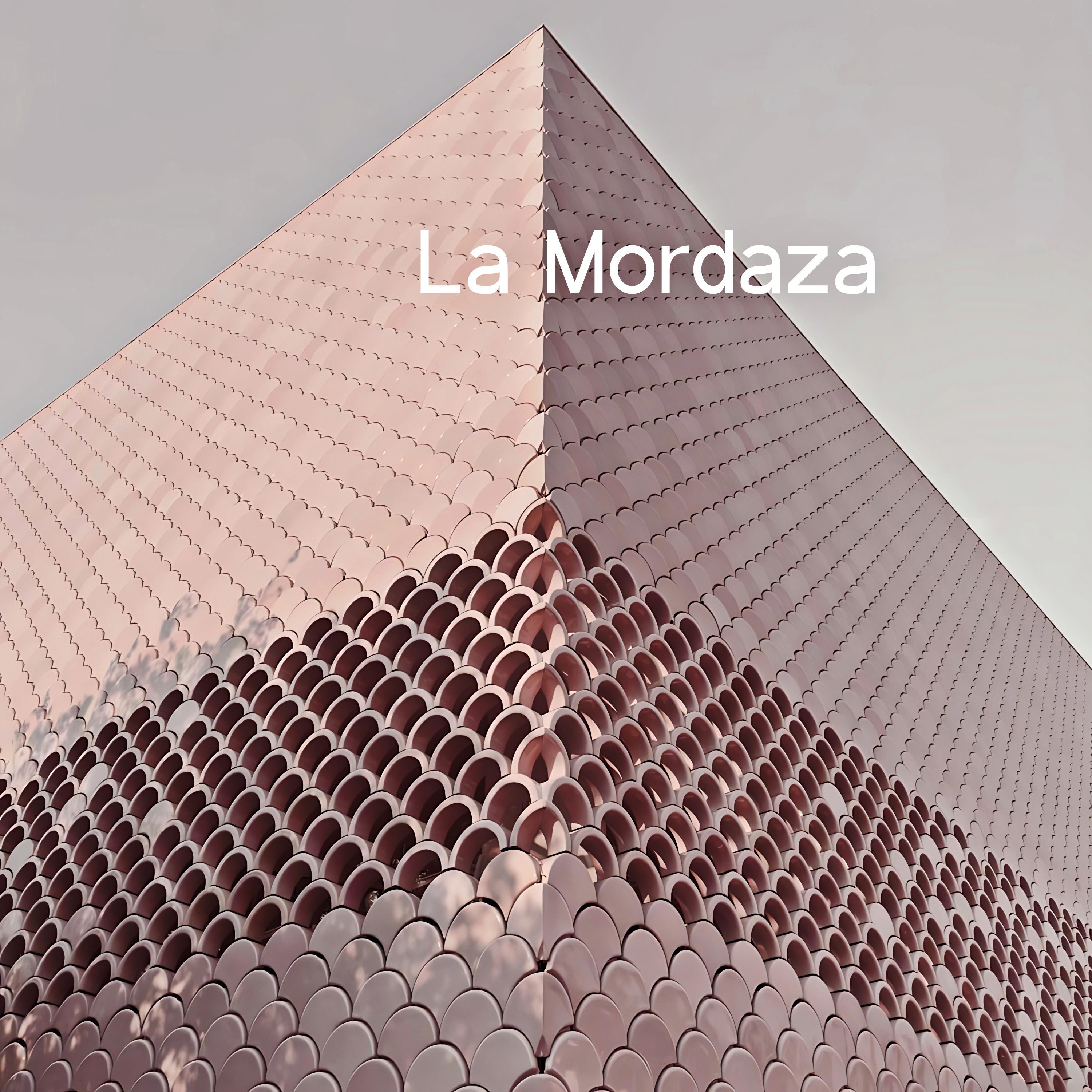 Постер альбома La Mordaza