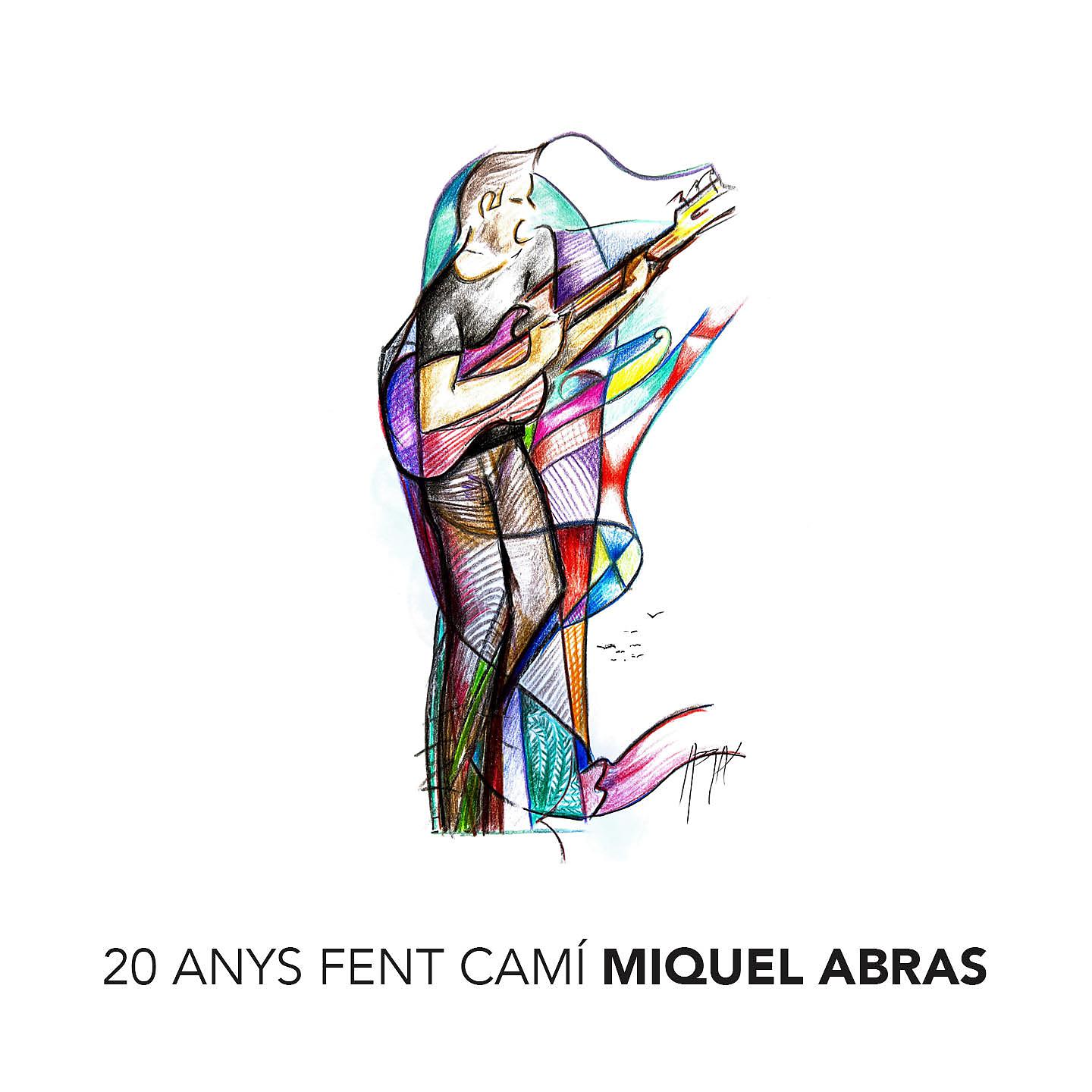 Постер альбома 20 Anys Fent Camí