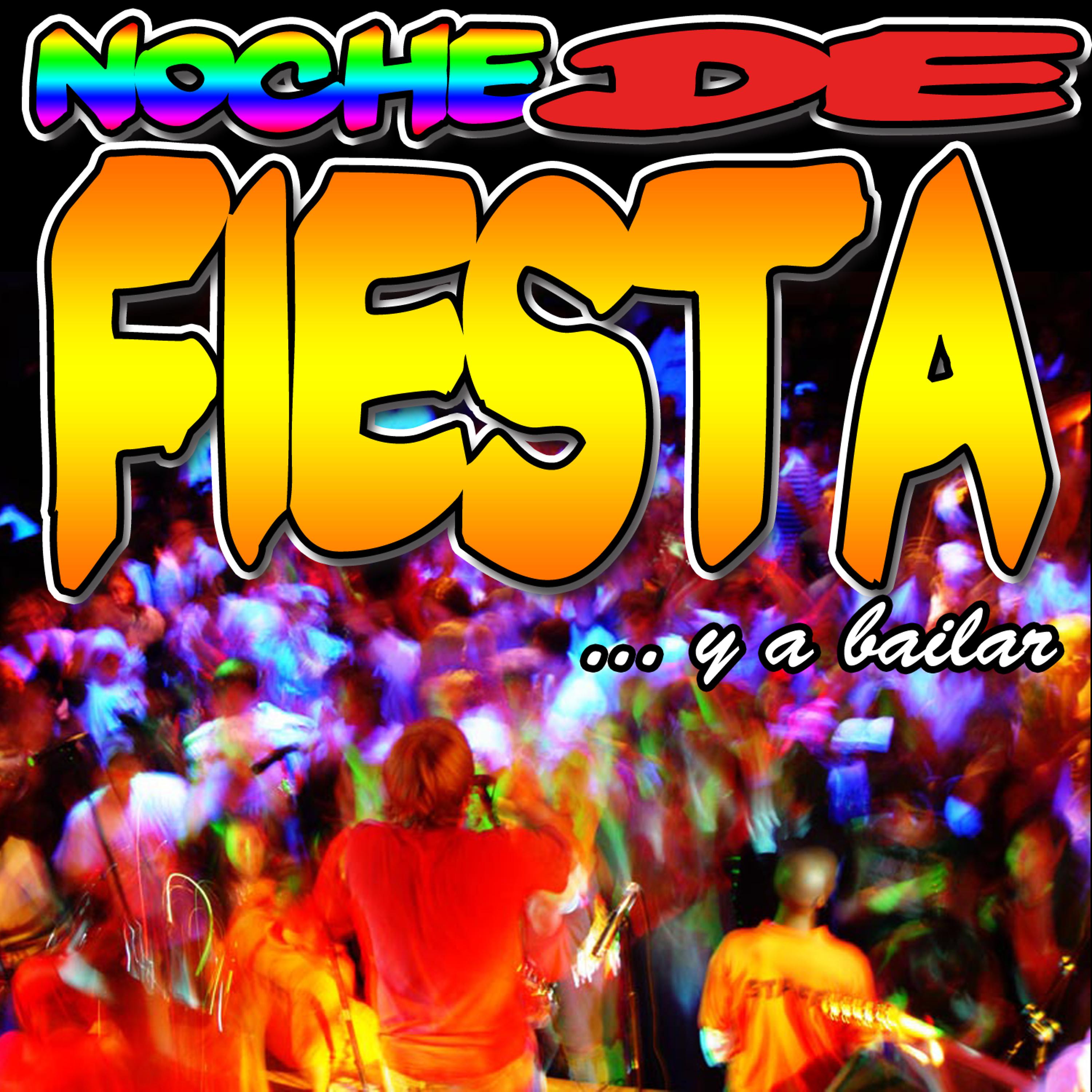 Постер альбома Noche De Fiesta Y a Bailar!!