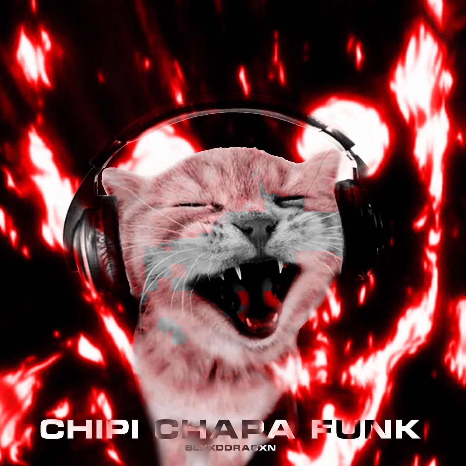 Постер альбома CHIPI CHAPA FUNK (SLOWED & REVERB)
