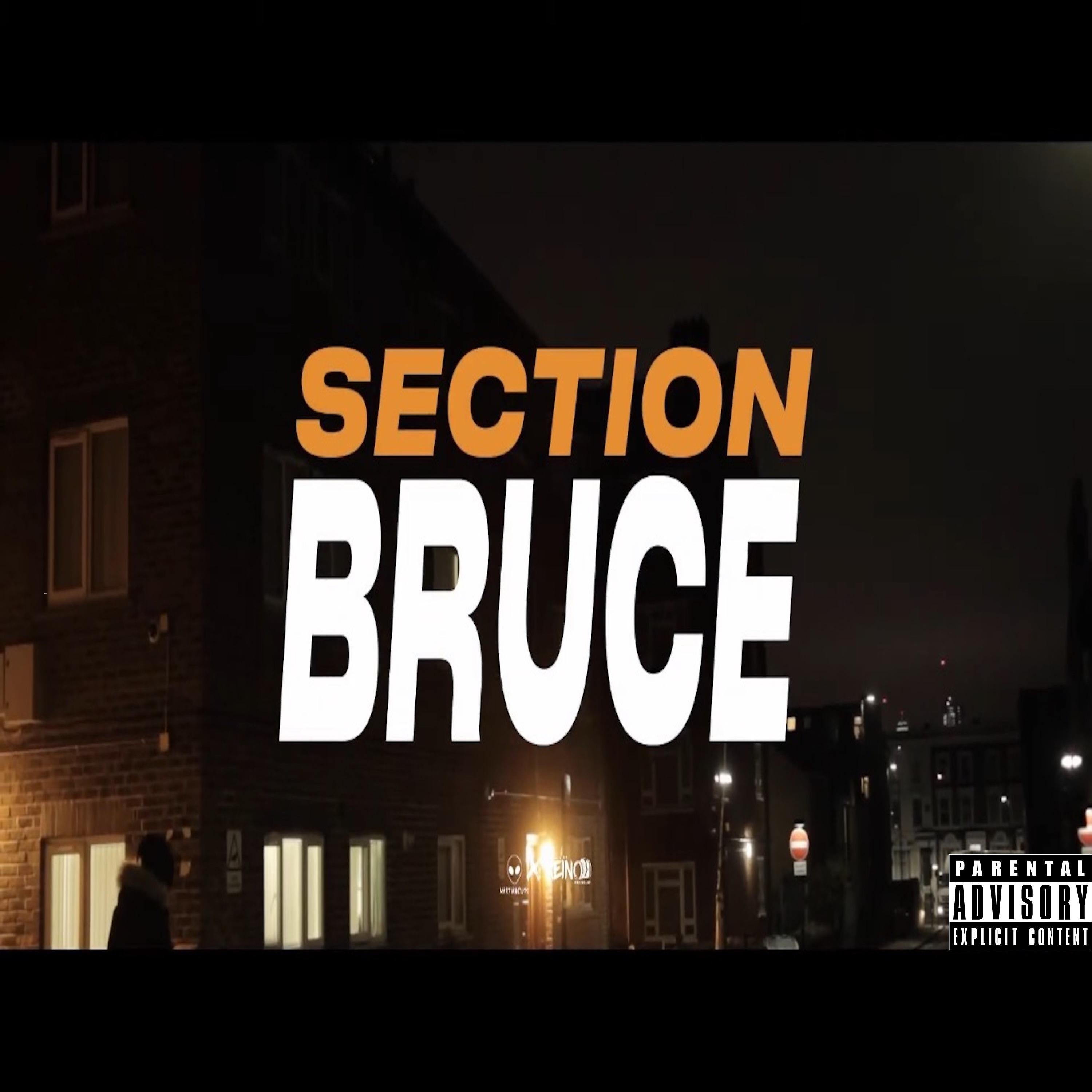 Постер альбома Bruce