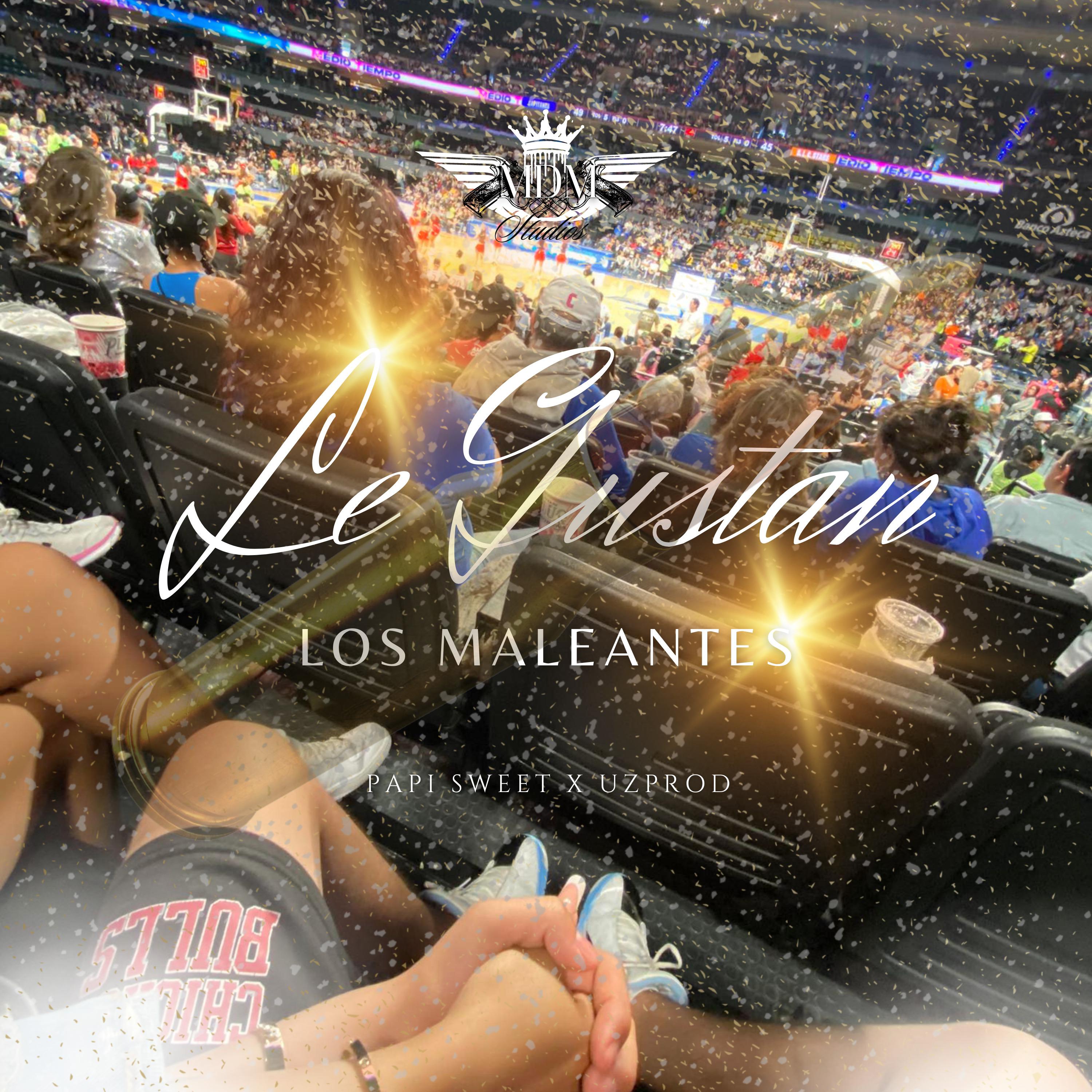 Постер альбома Le Gustan Los Maleantes.