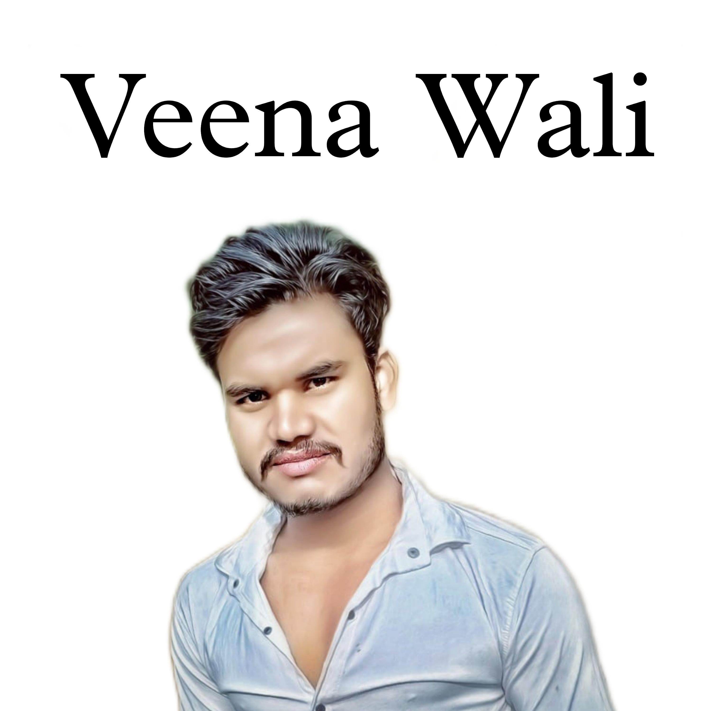 Постер альбома Veena Wali