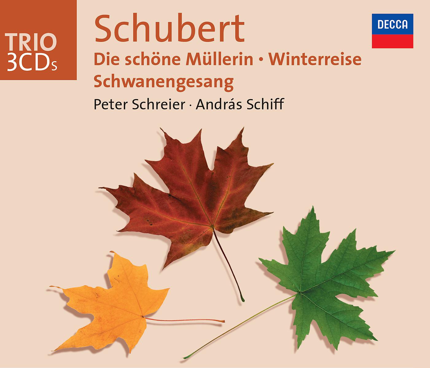 Постер альбома Schubert: Song Cycles