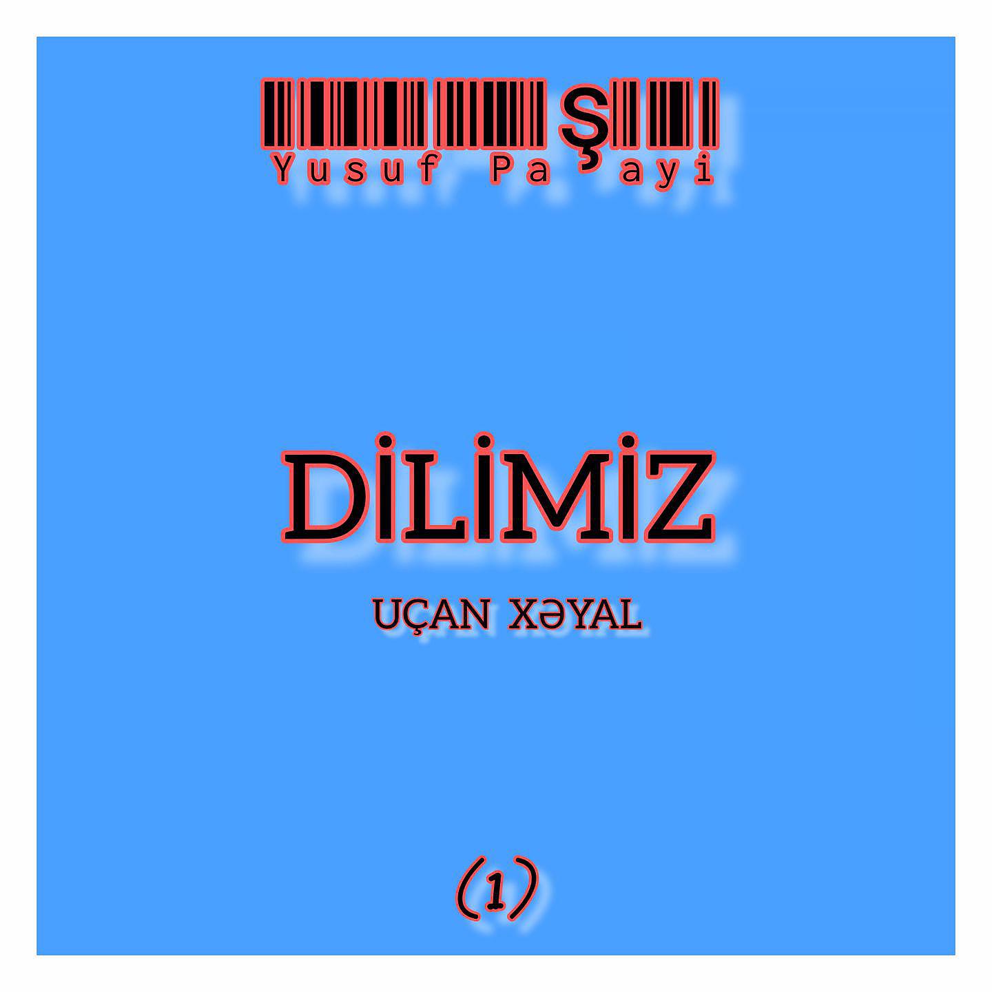 Постер альбома Dilimiz