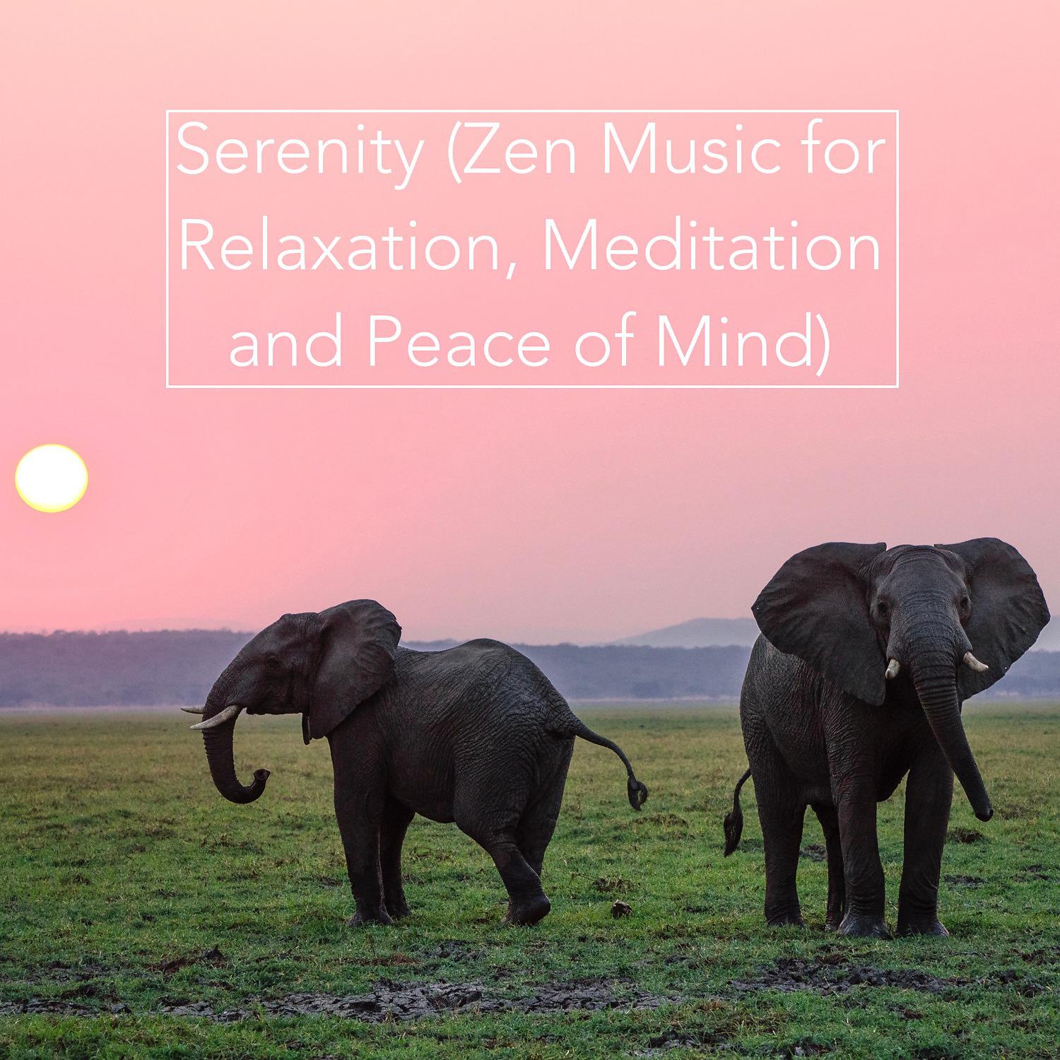 Постер альбома Serenity (Zen Music for Relaxation, Meditation and Peace of Mind)