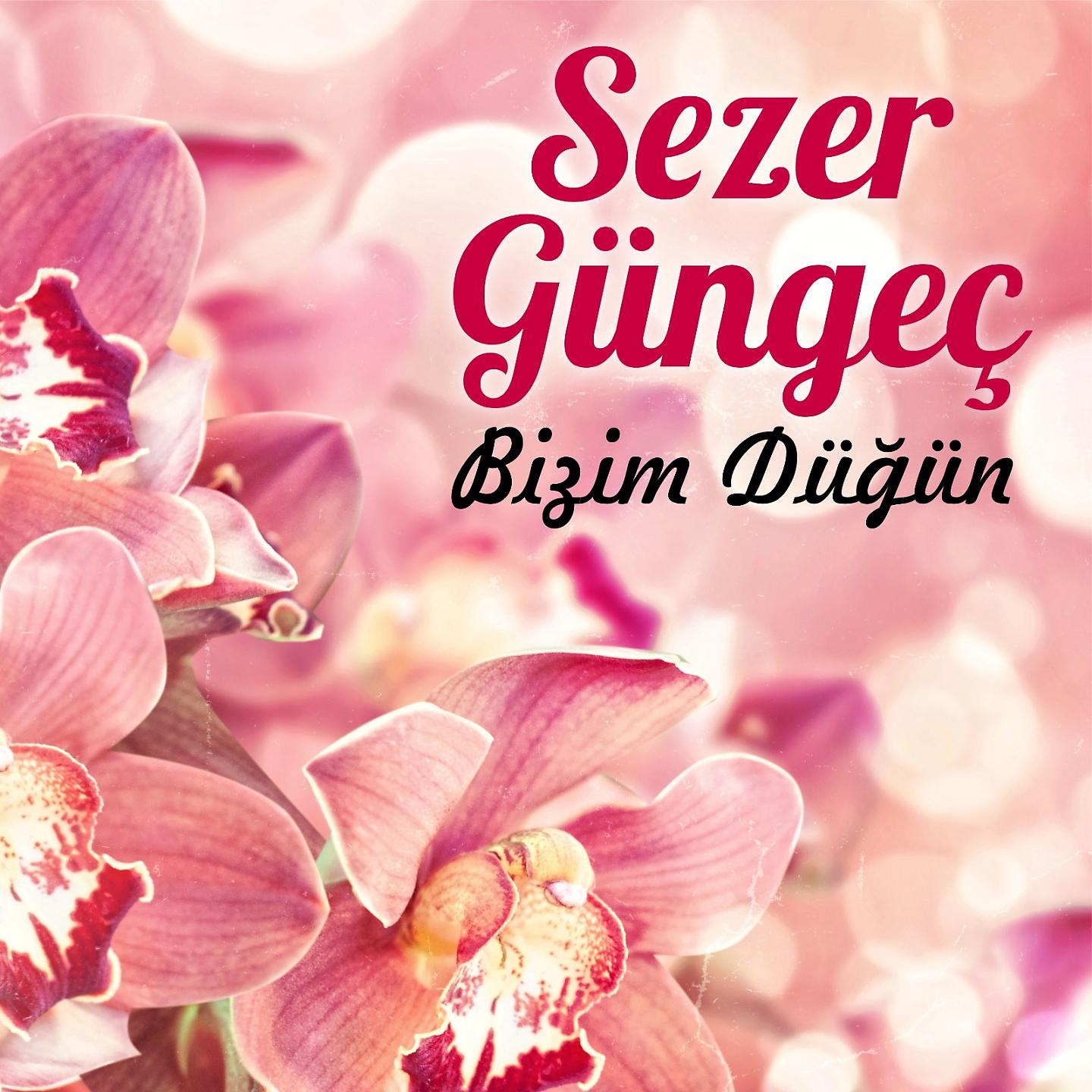 Постер альбома Bizim Düğün
