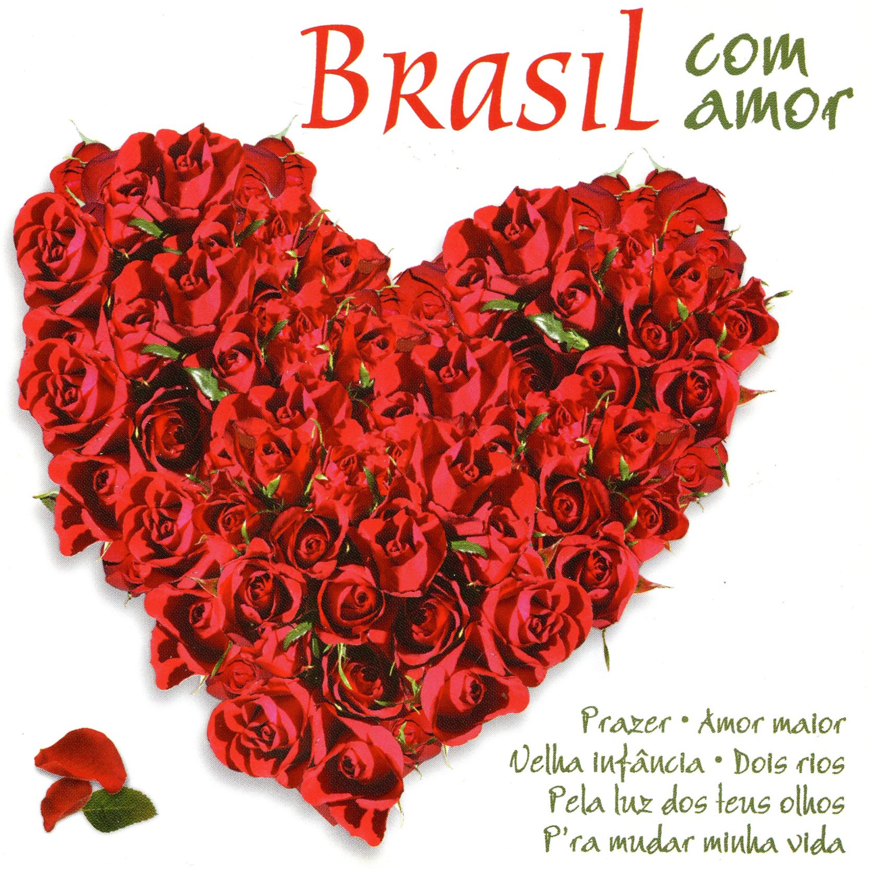 Постер альбома Brasil Com Amor