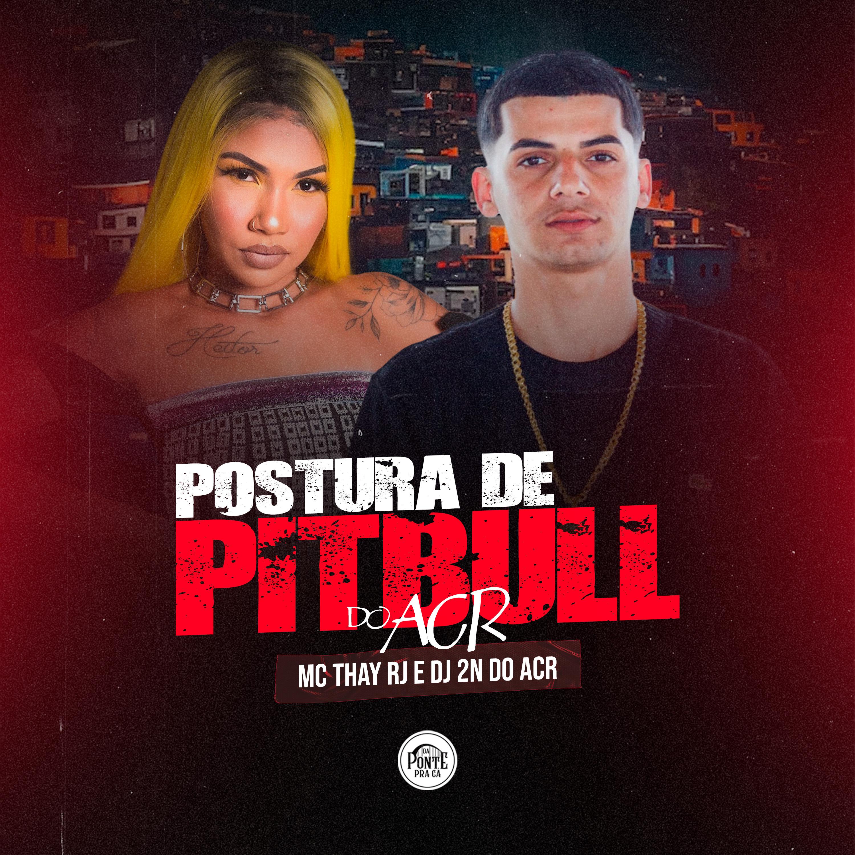 Постер альбома Postura de Pitbull
