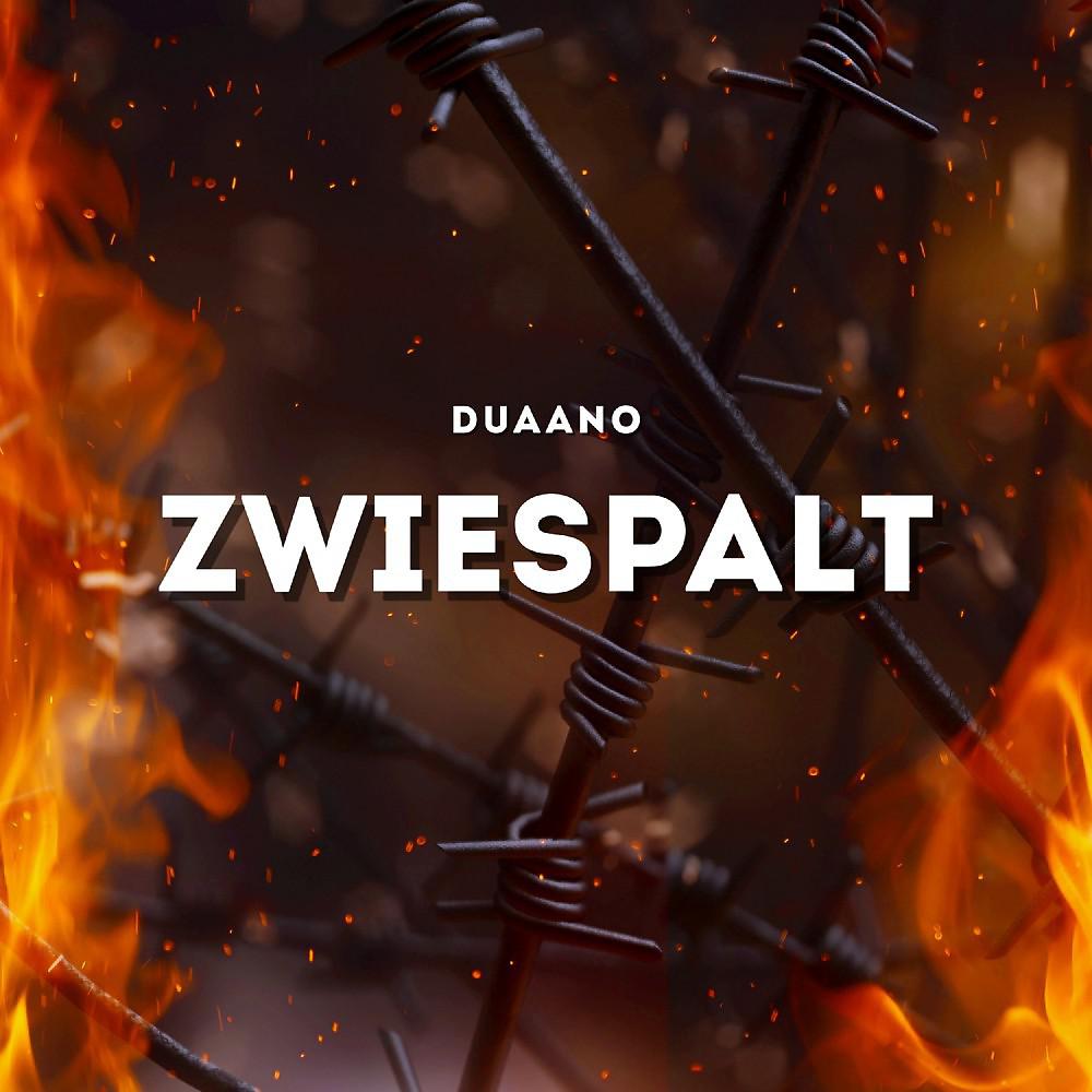 Постер альбома Zwiespalt