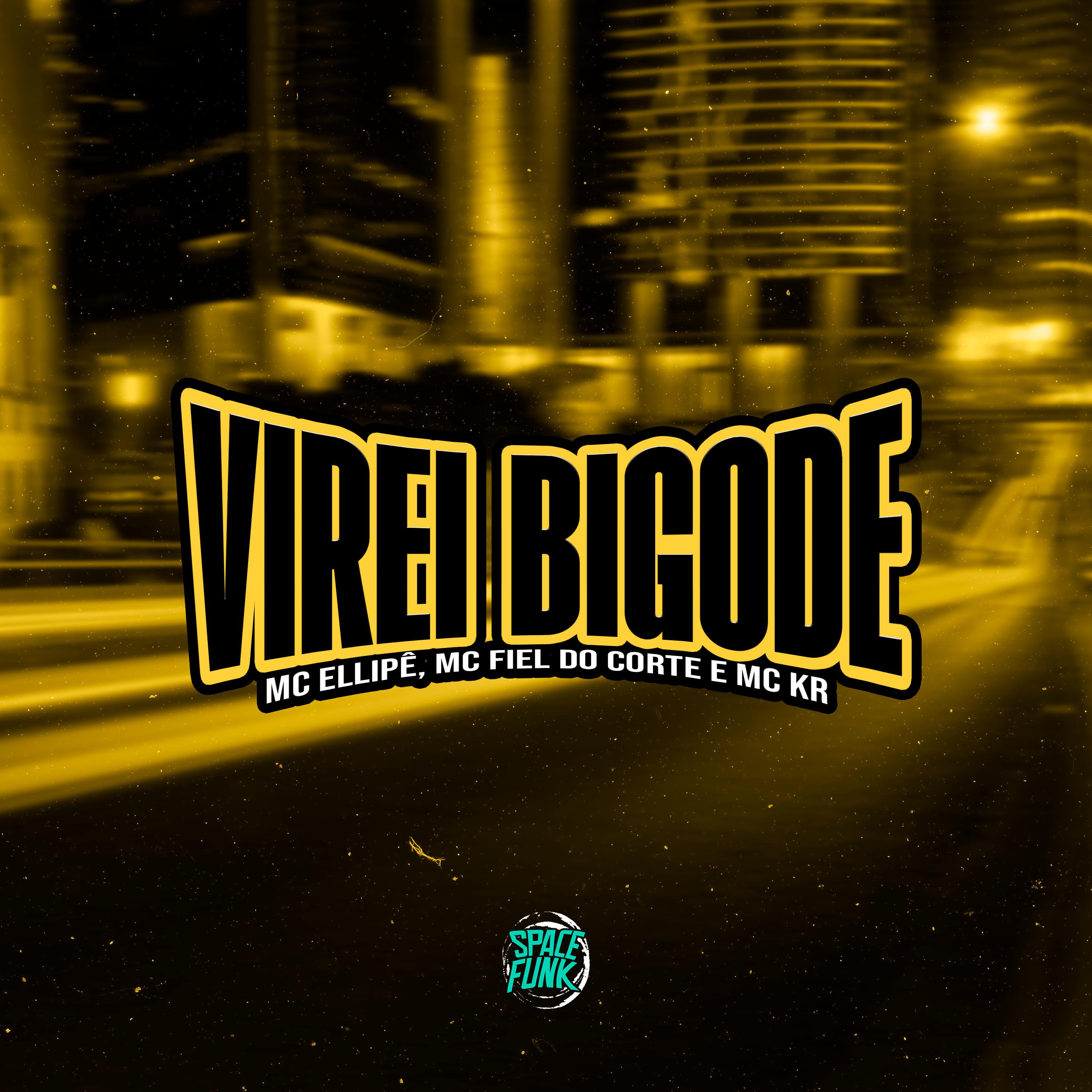 Постер альбома Virei Bigode