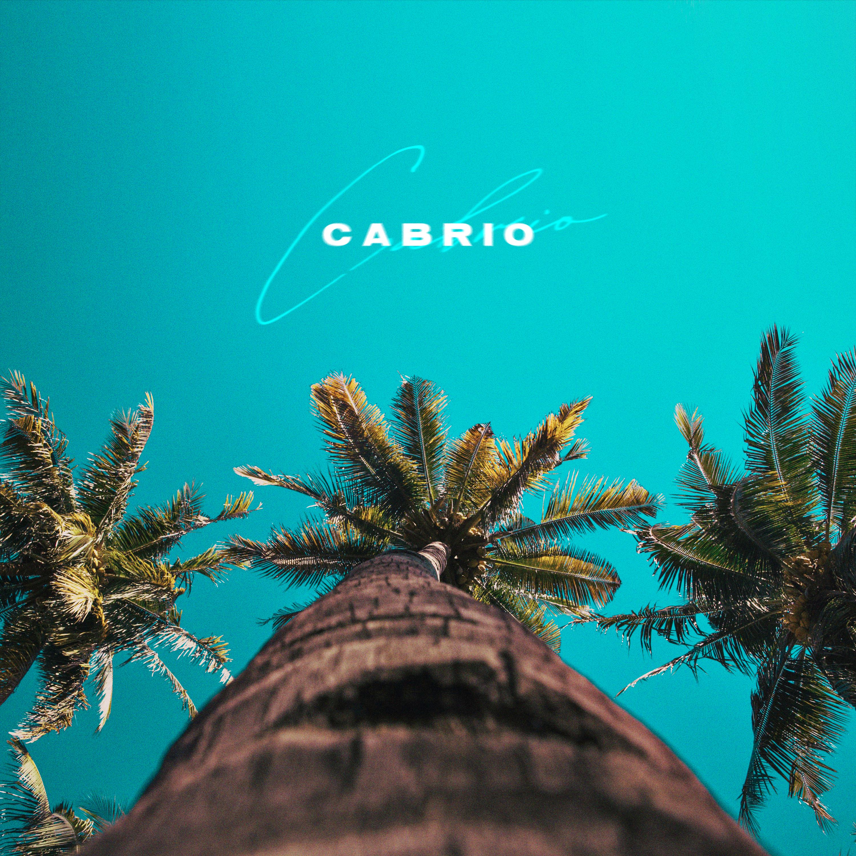 Постер альбома Cabrio