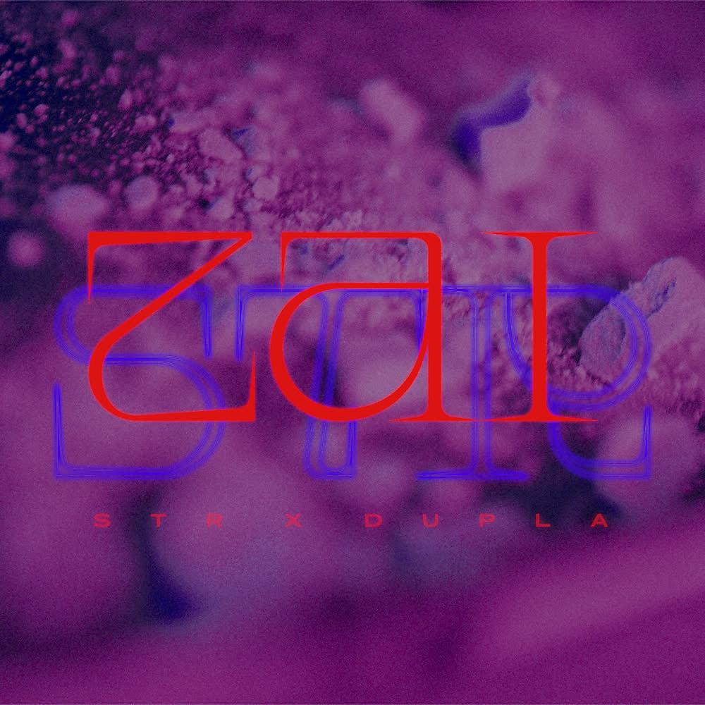Постер альбома ZAI