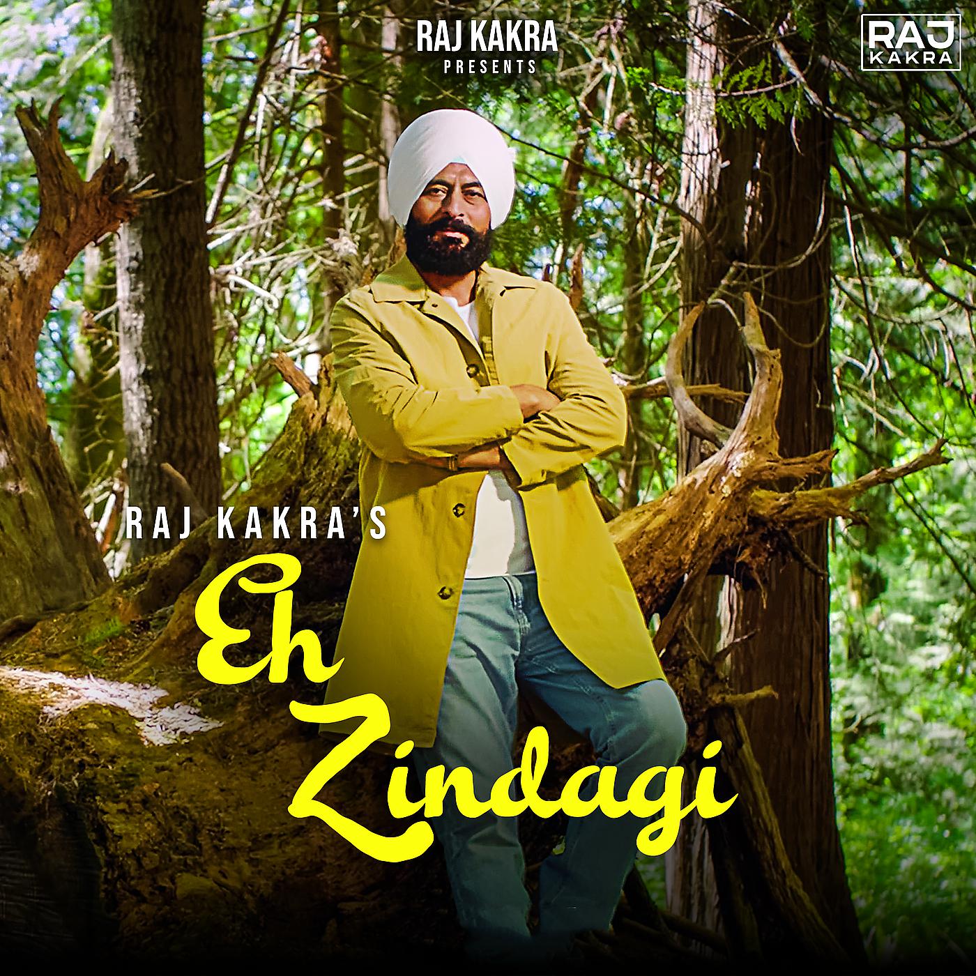 Постер альбома Eh Zindagi