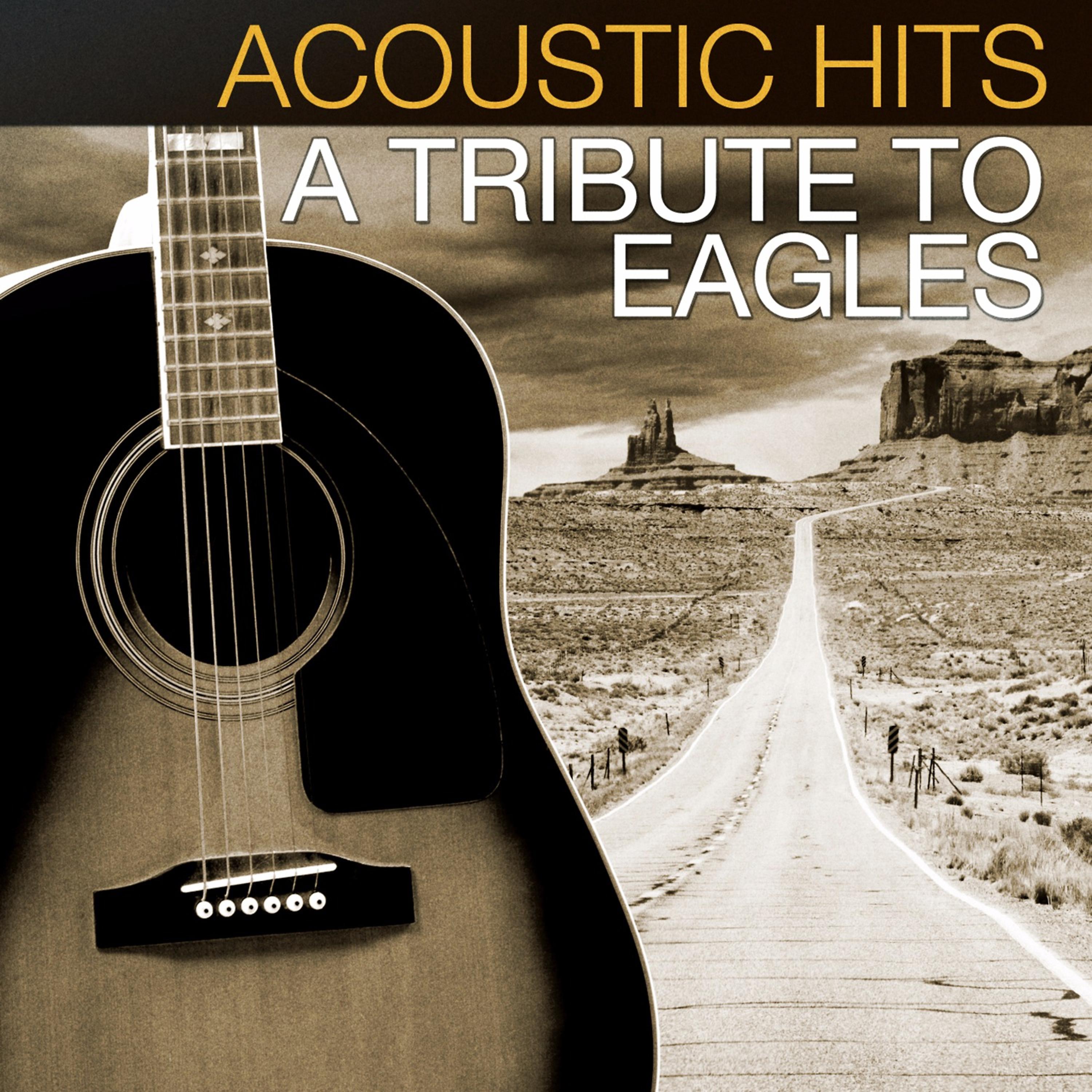 Постер альбома Acoustic Hits: A Tribute to The Eagles