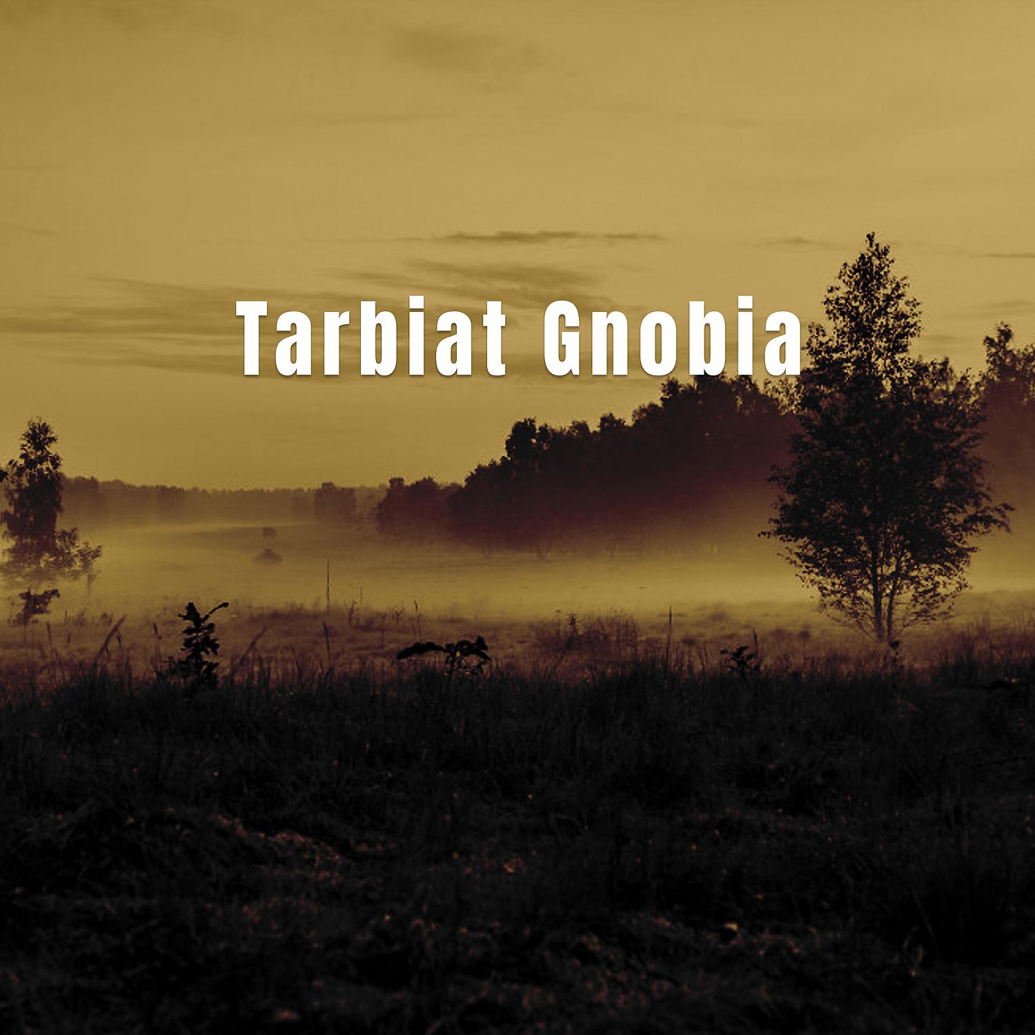Постер альбома Tarbiat Gnobia