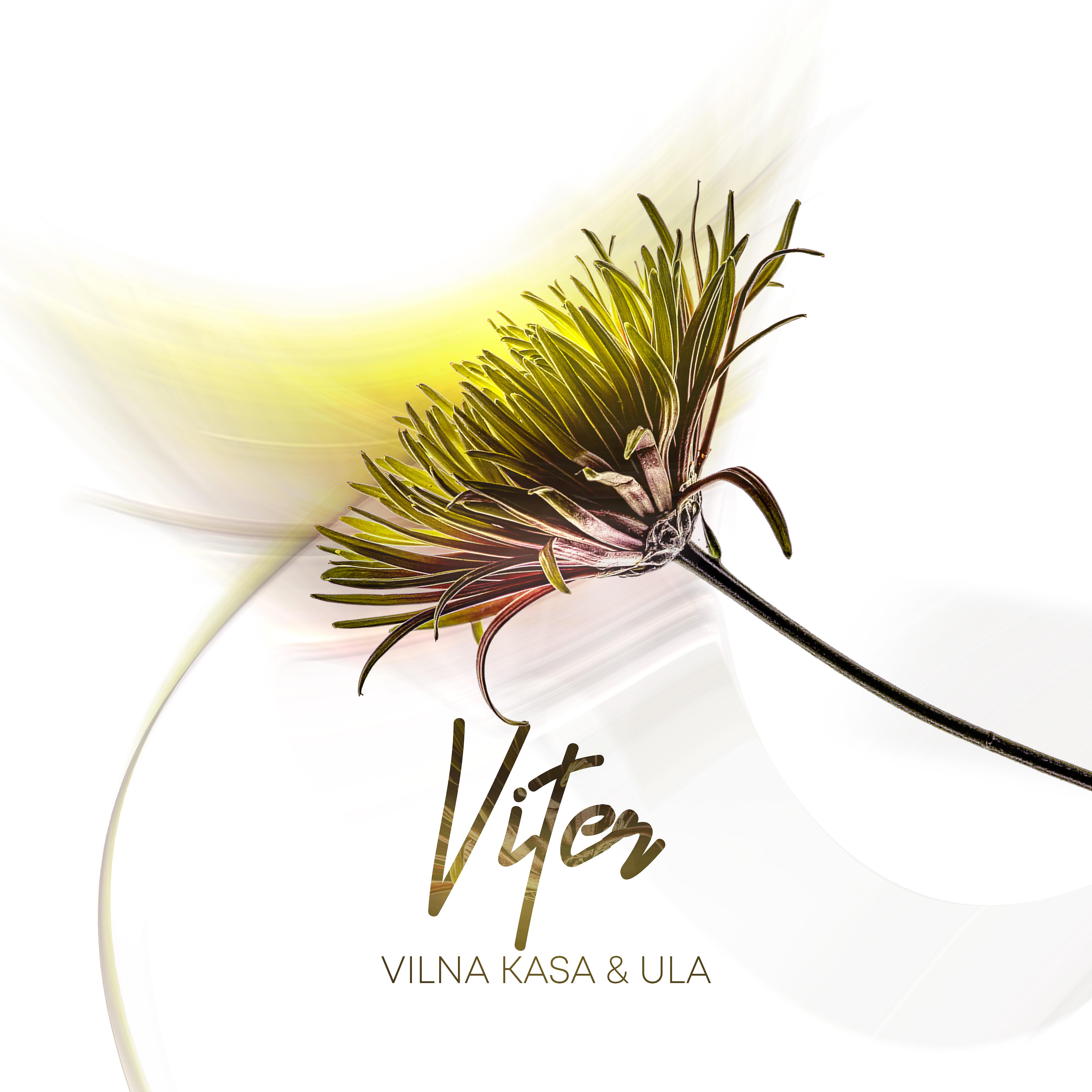 Постер альбома Viter