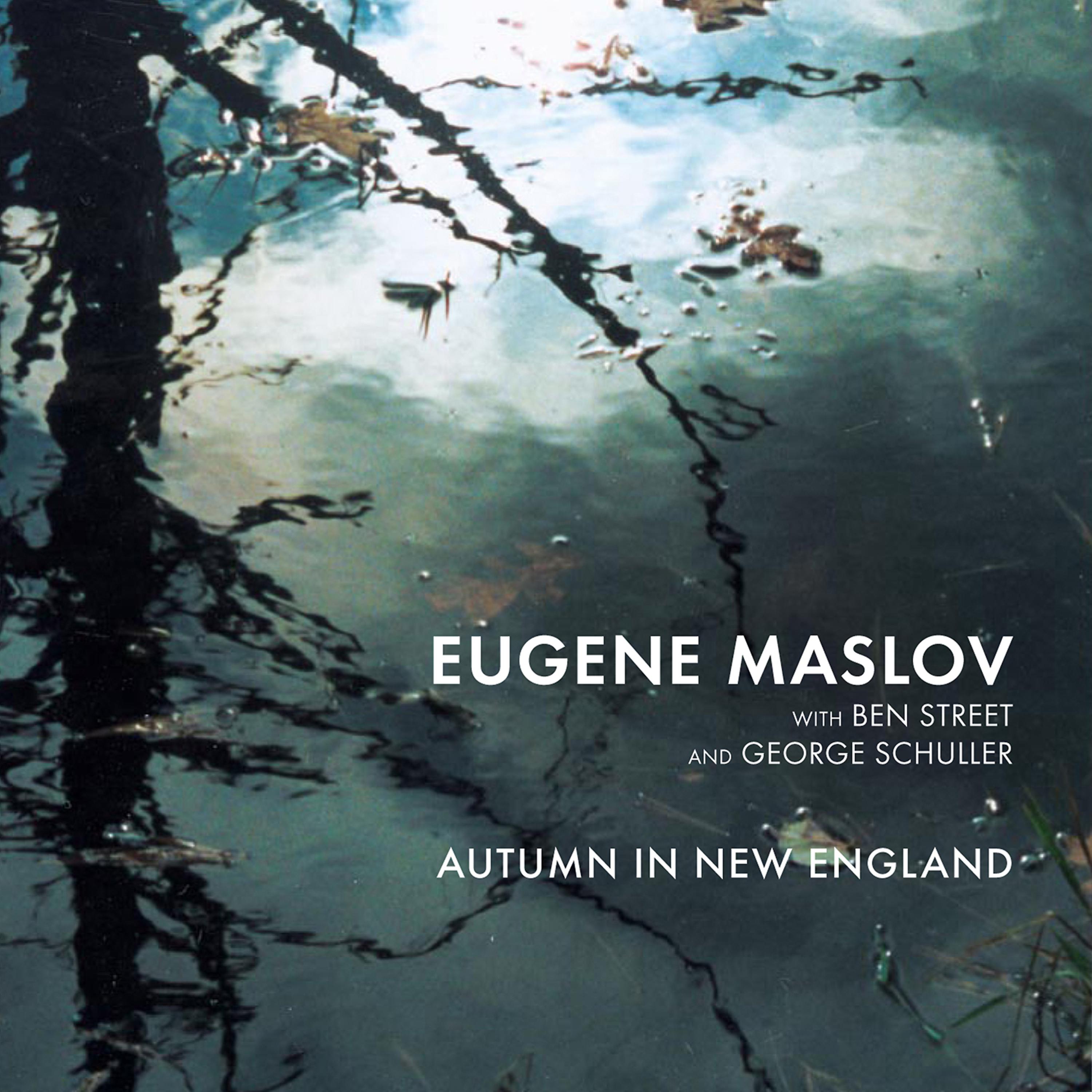 Постер альбома Autumn in New England