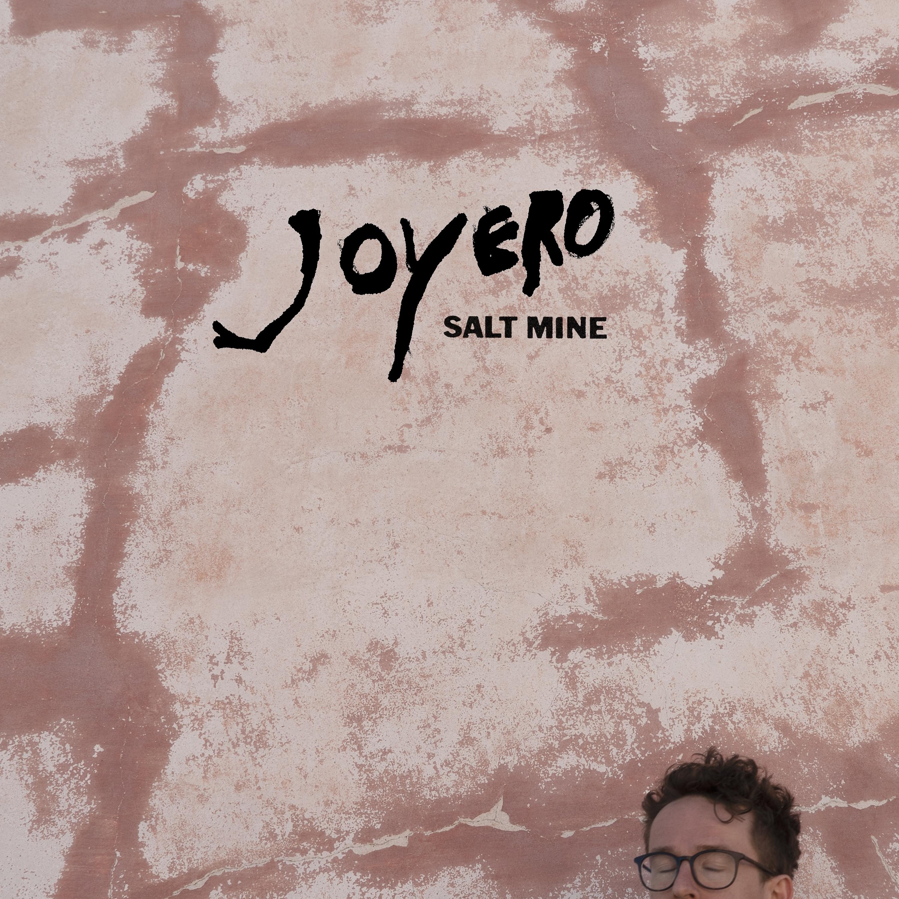 Постер альбома Salt Mine