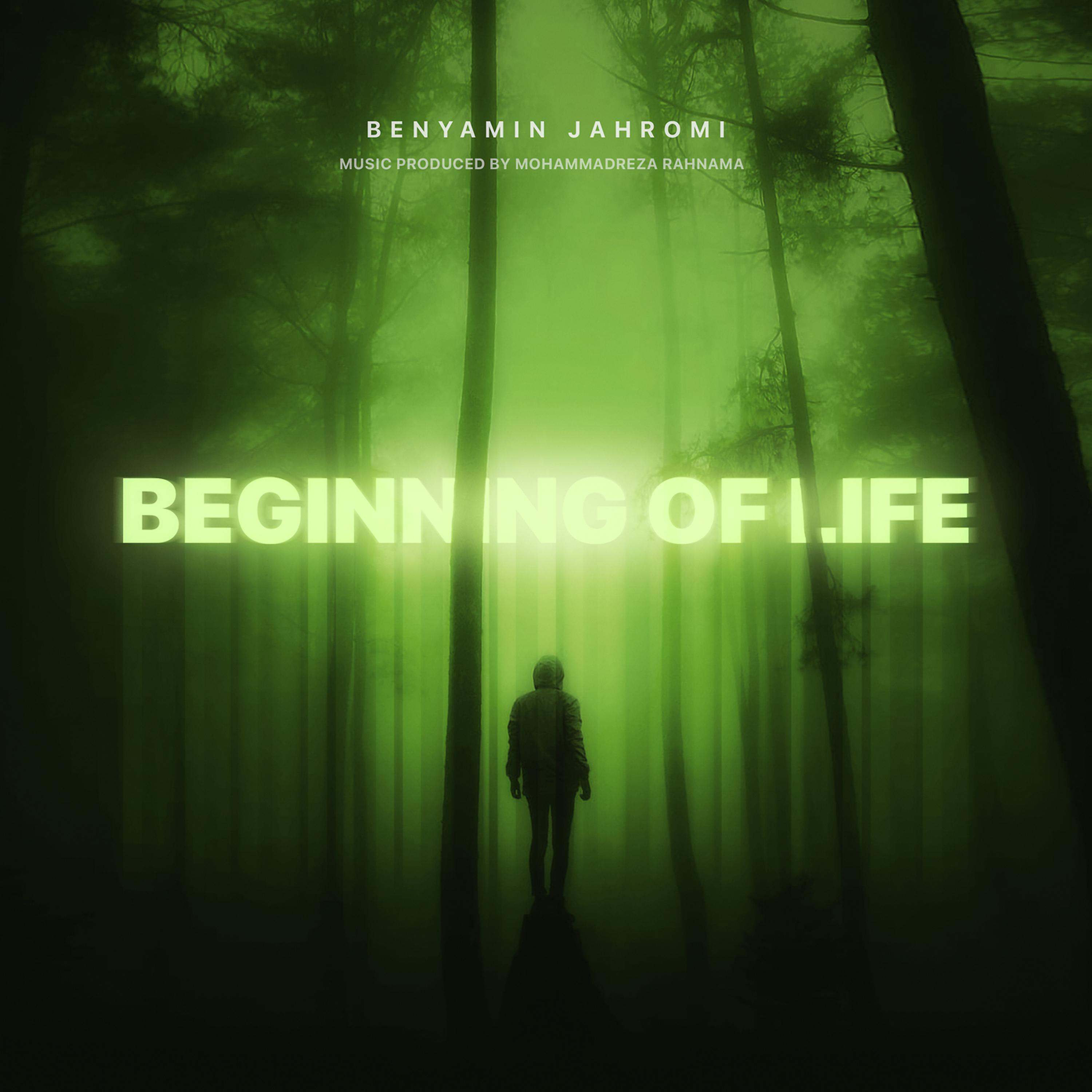 Постер альбома Beginning of Life
