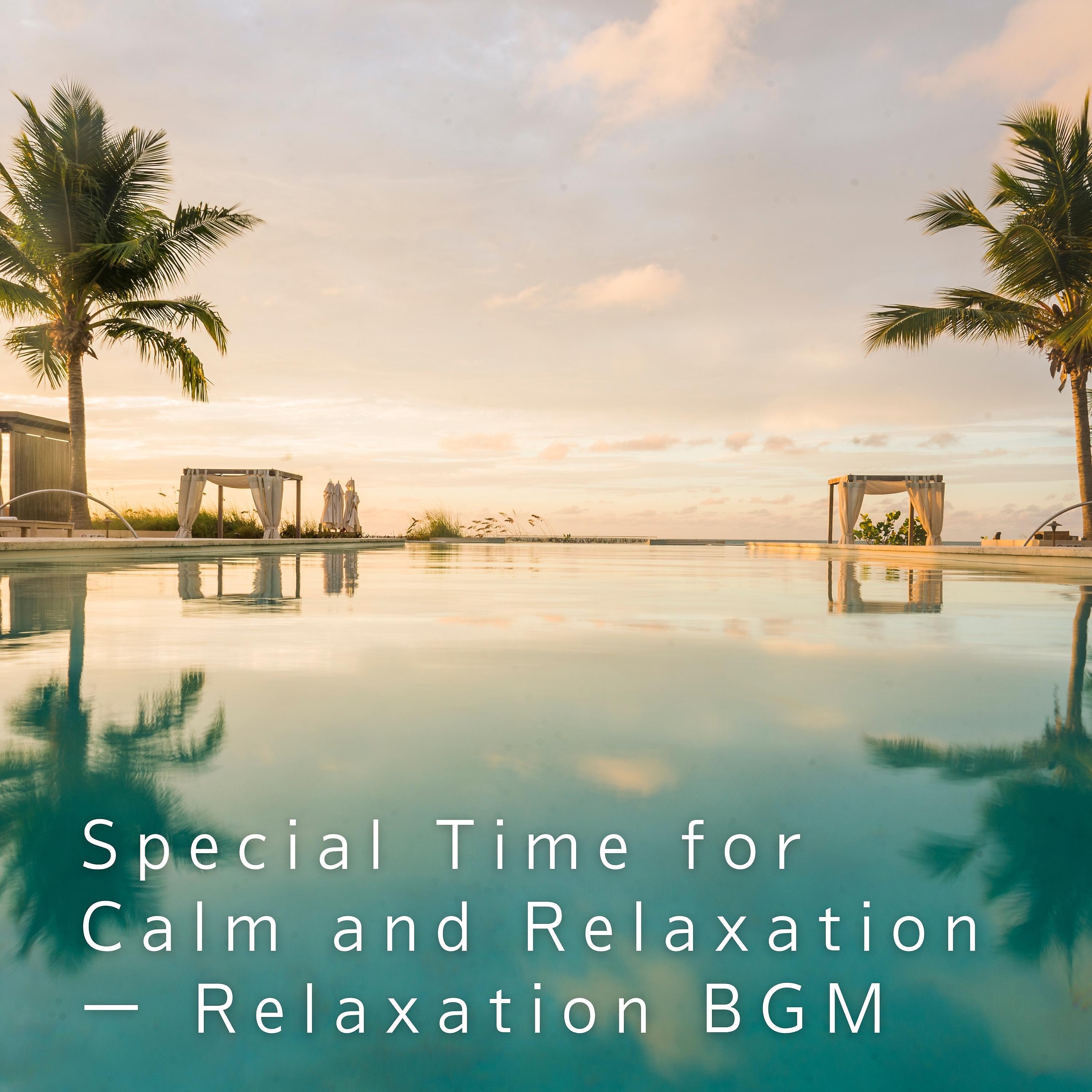 Постер альбома Special Time for Calm and Relaxation - Relaxation BGM