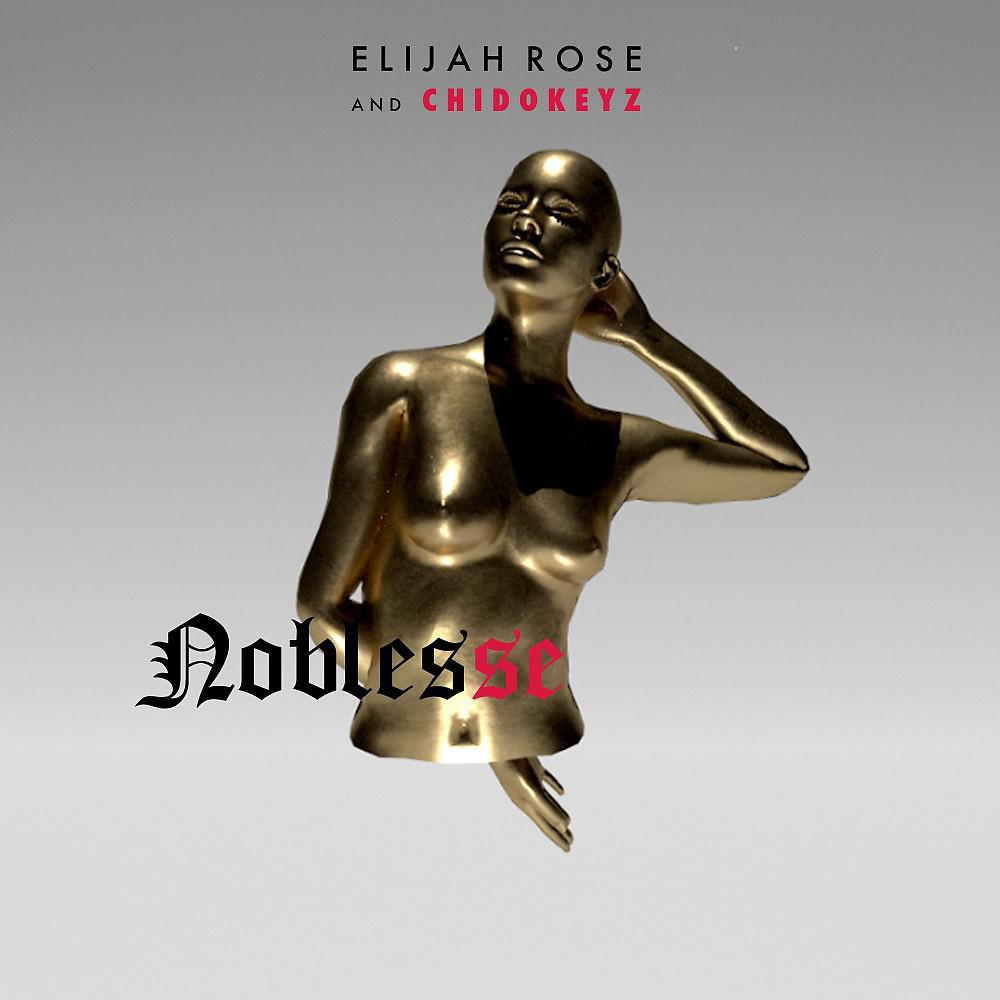 Постер альбома Noblesse