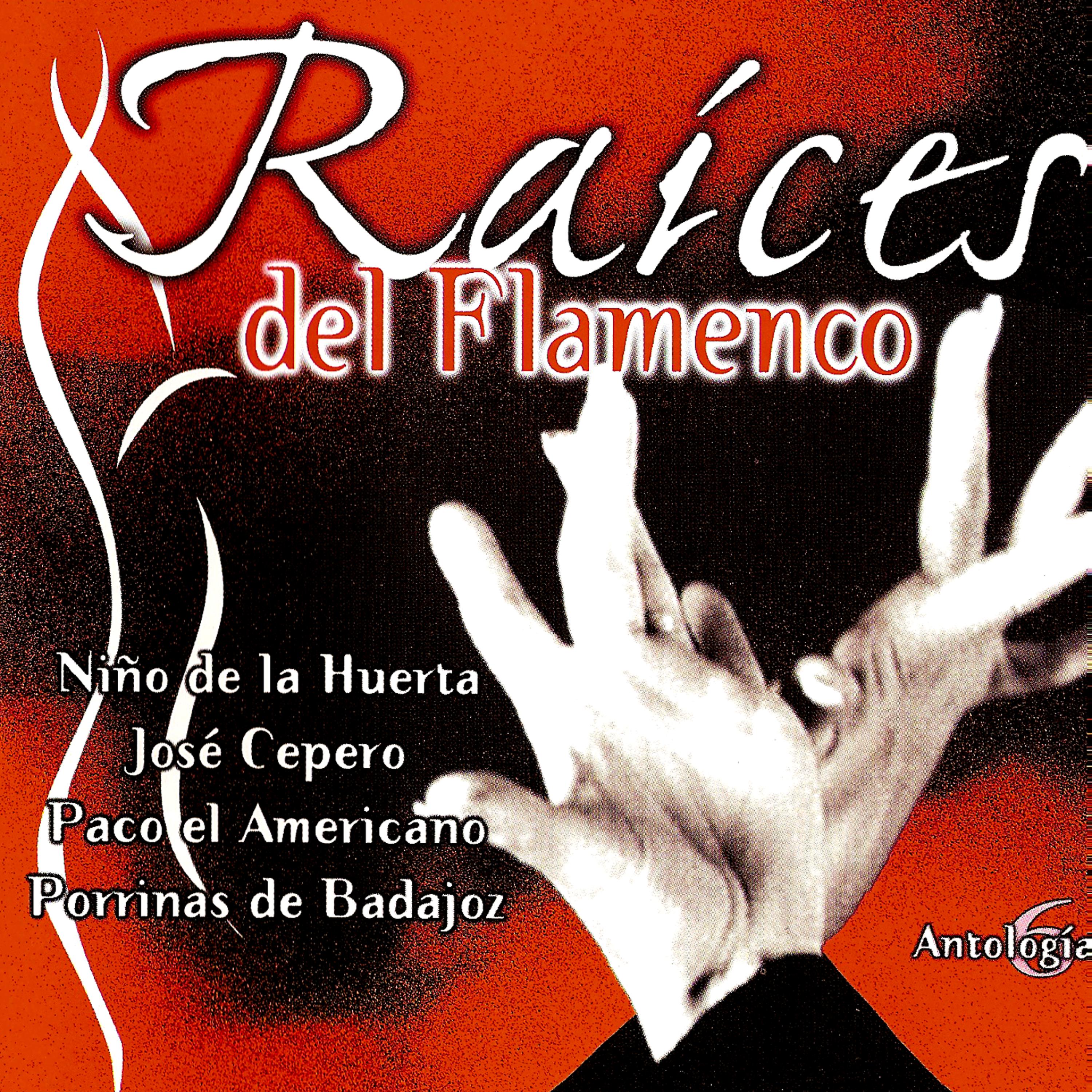 Постер альбома Raíces Del Flamenco (Antología 6)