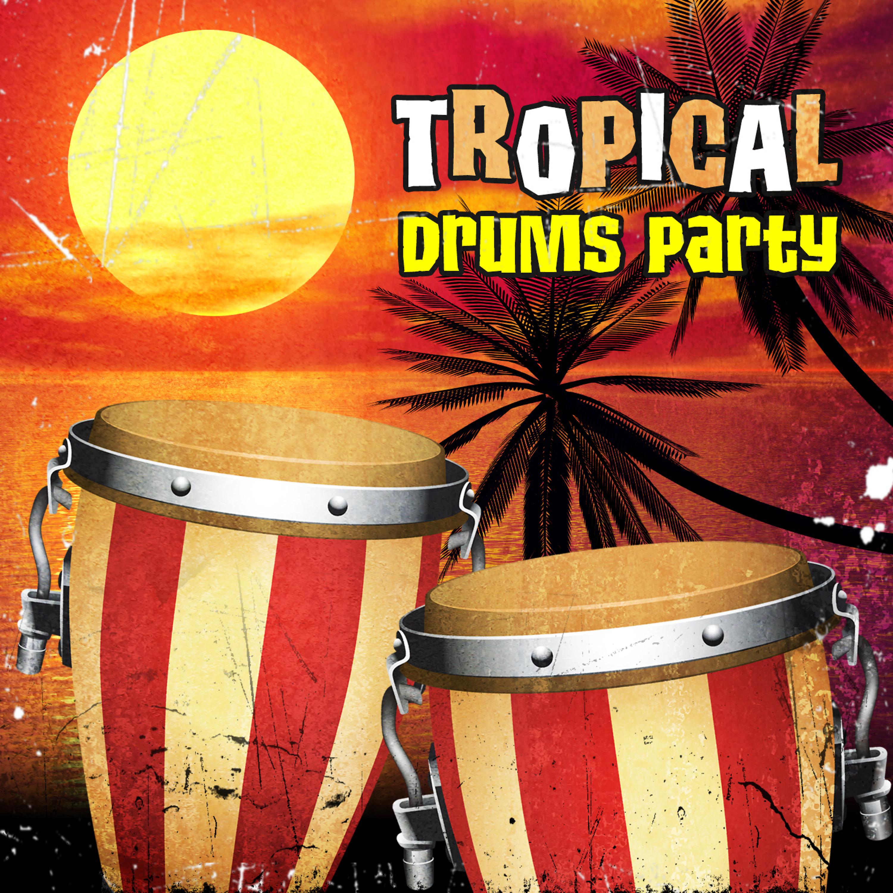 Постер альбома Tropical Drums Party