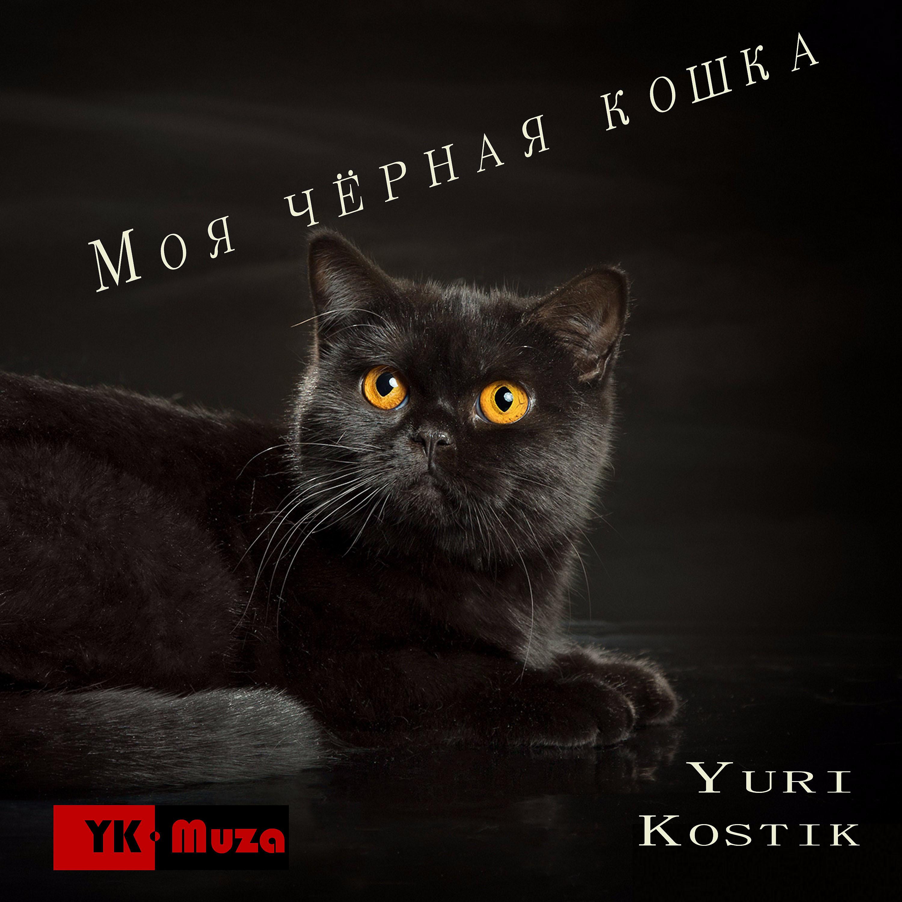 Постер альбома Моя чёрная кошка