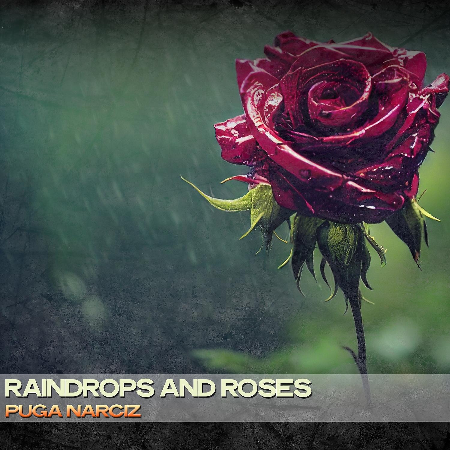 Постер альбома Raindrops and Roses