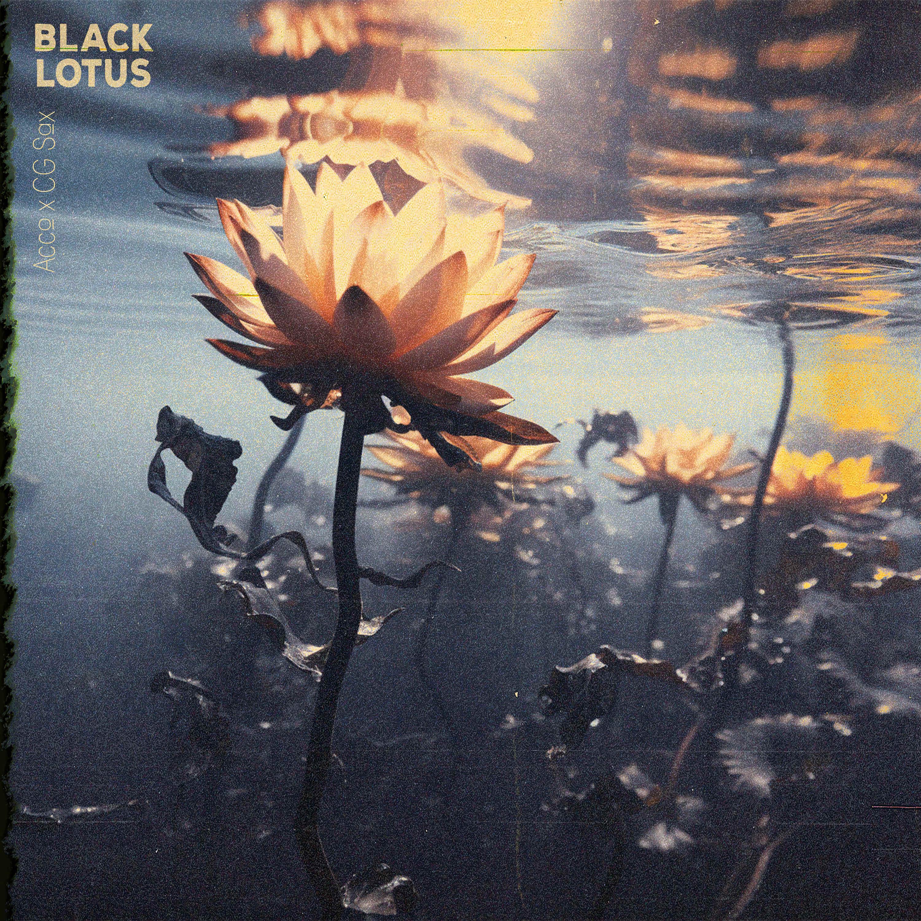 Постер альбома Black Lotus