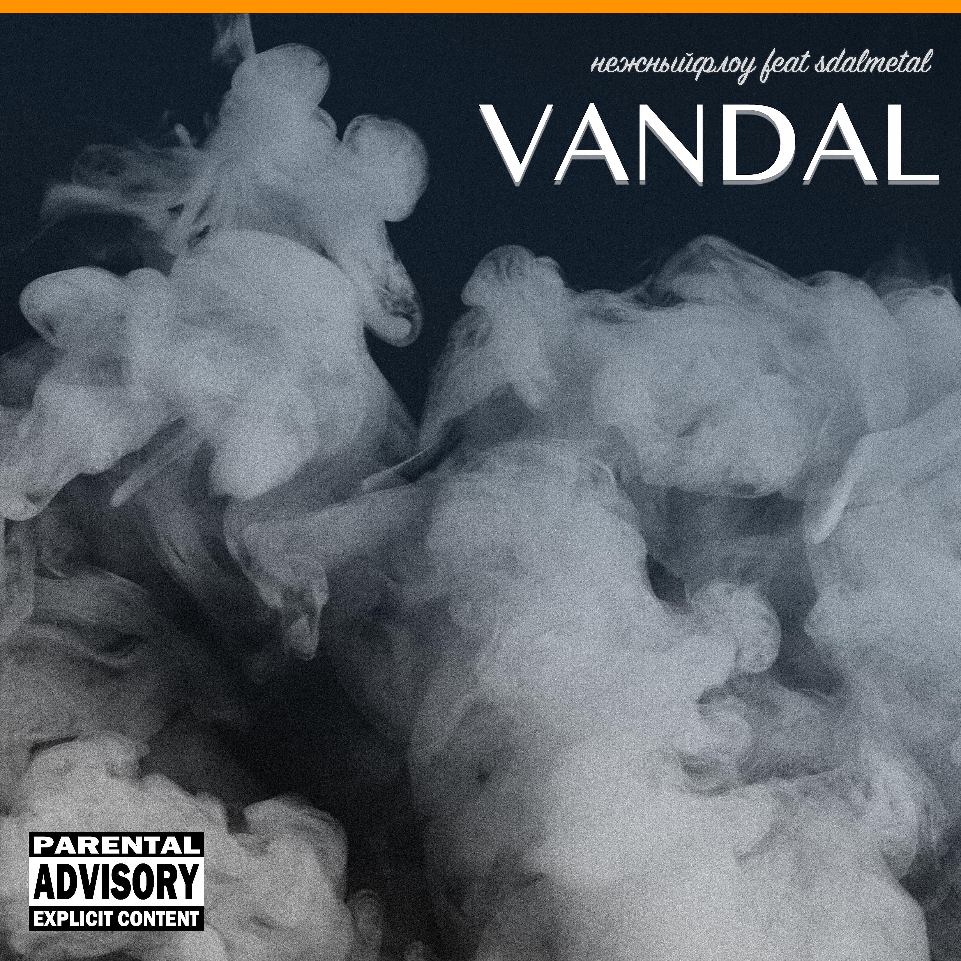 Постер альбома Vandal