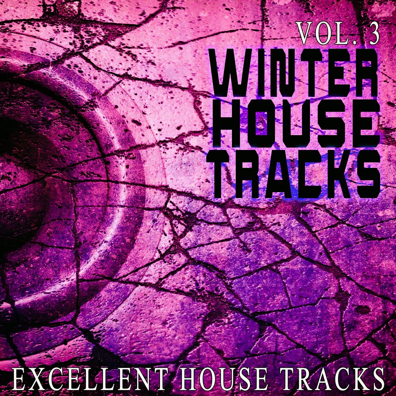 Постер альбома Winter House S, Vol. 3 - Excellent House S
