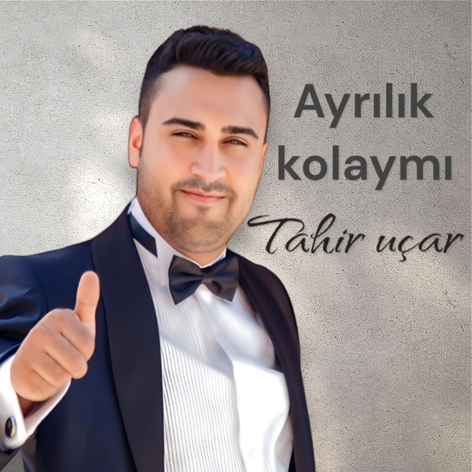 Постер альбома Ayrılık Kolaymı