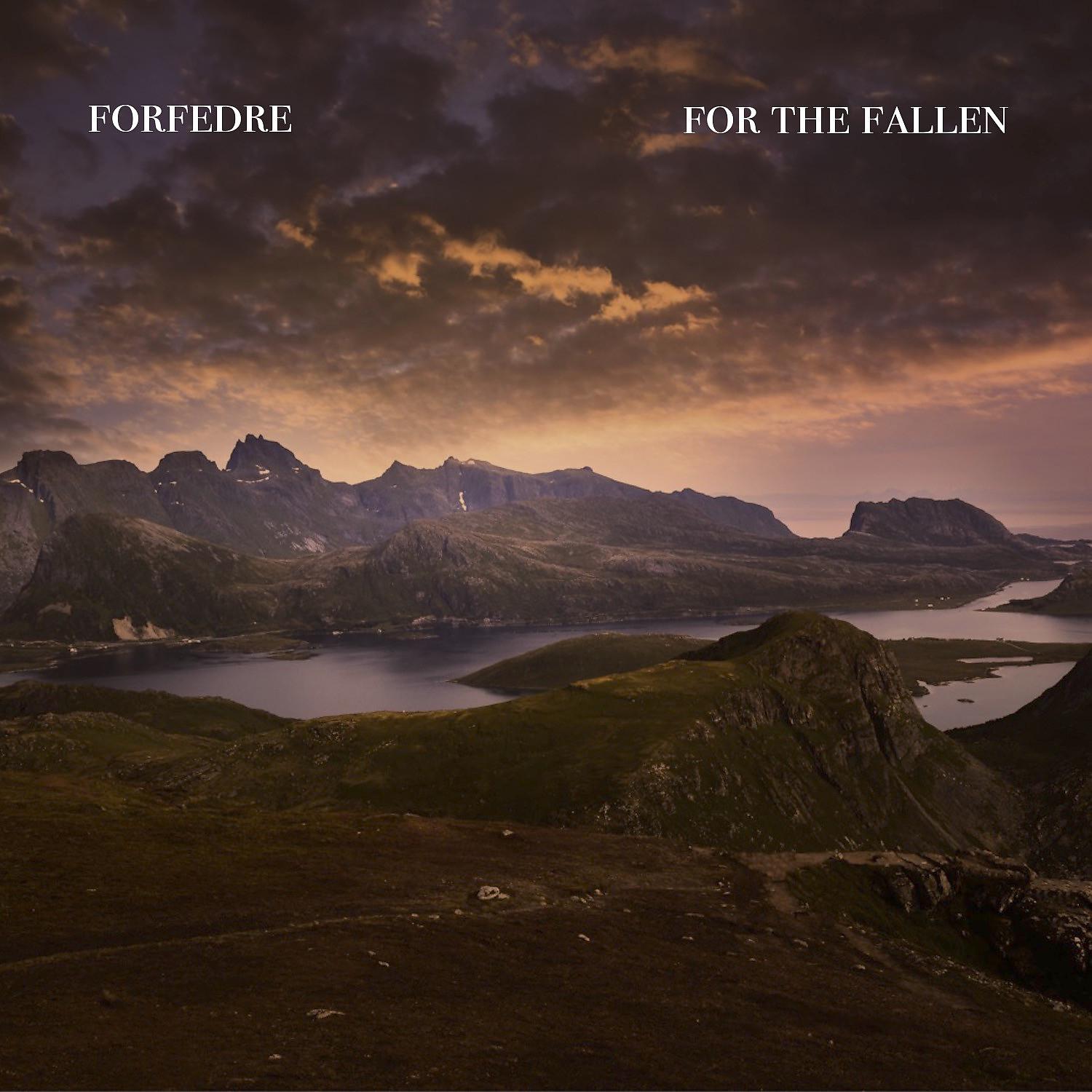 Постер альбома for the fallen
