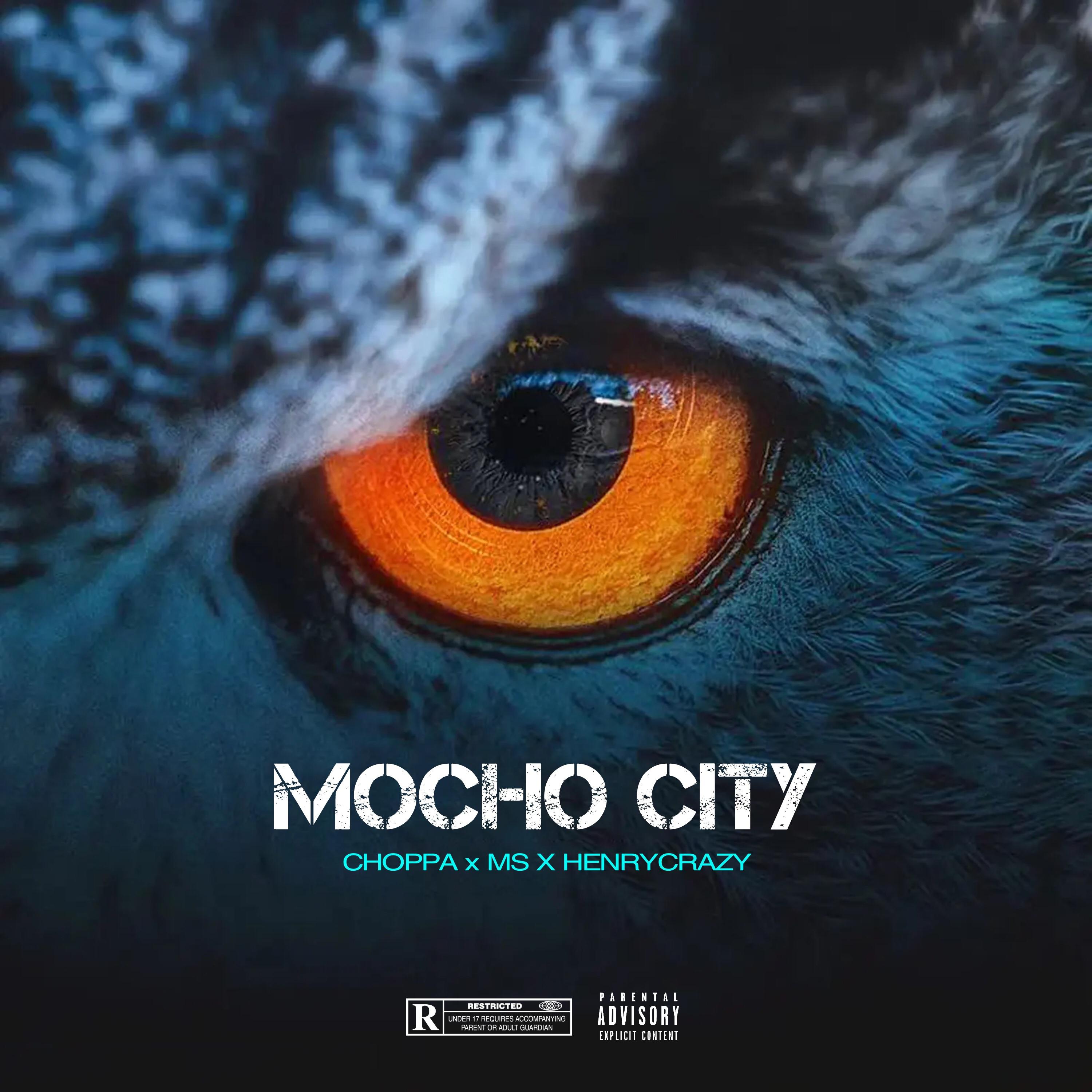 Постер альбома Mocho City