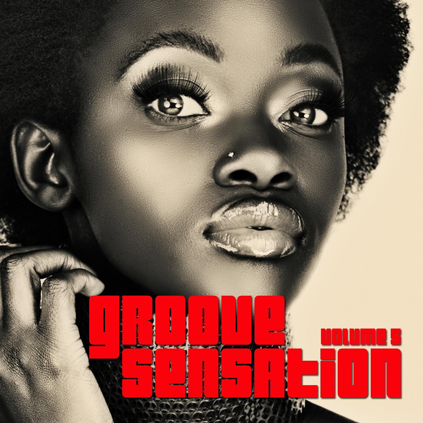 Постер альбома Groove Sensation, Vol. 5