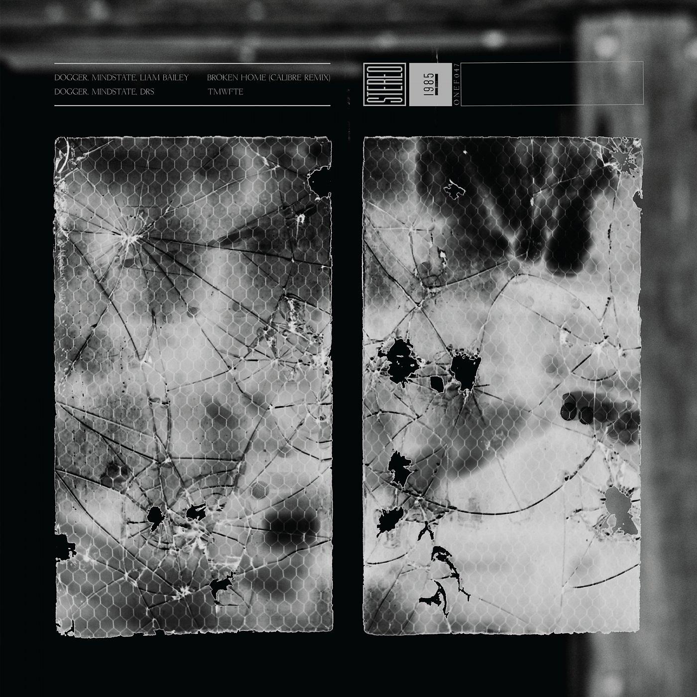 Постер альбома Broken Home (Calibre Remix) / TMWFTE