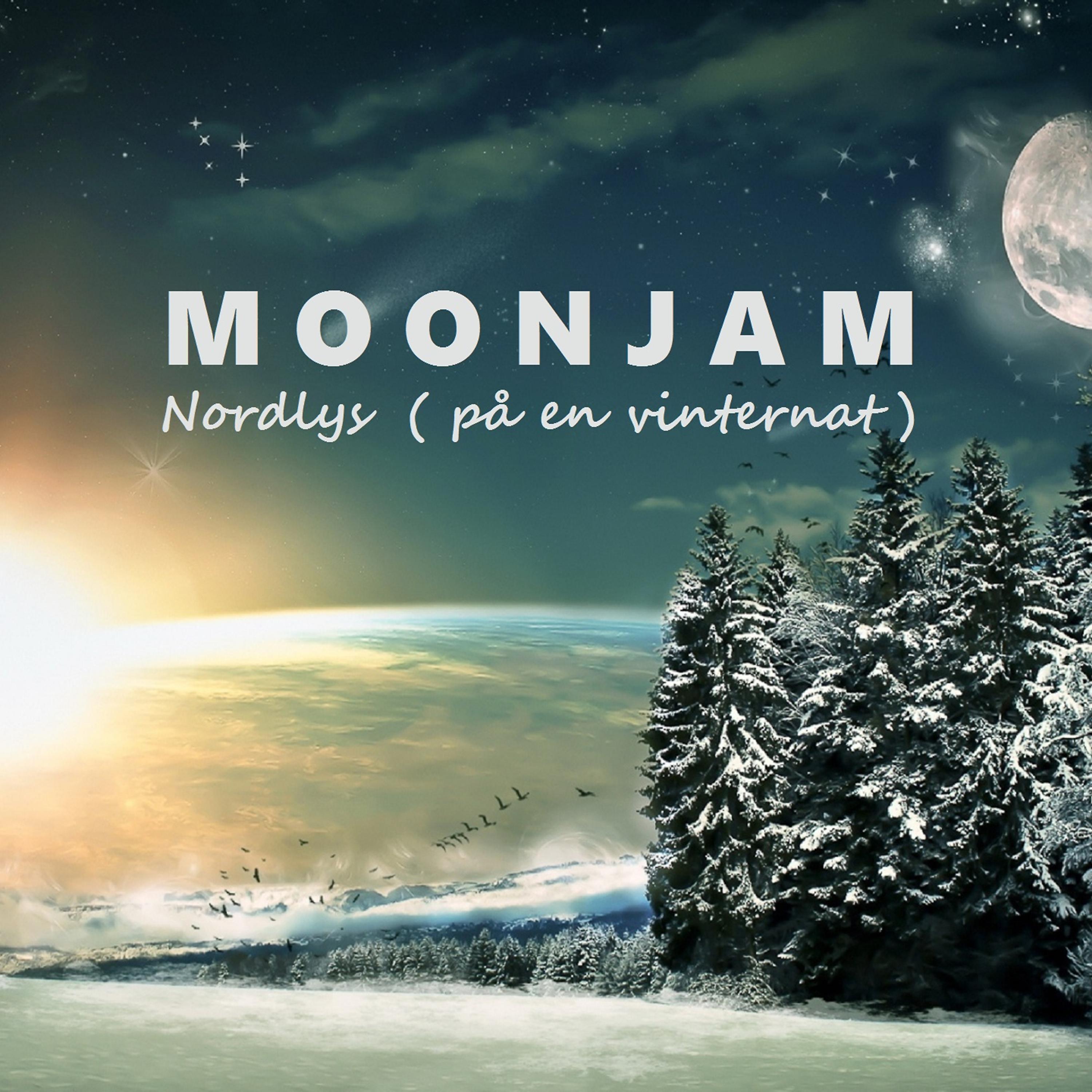 Постер альбома Nordlys (På En Vinternat)