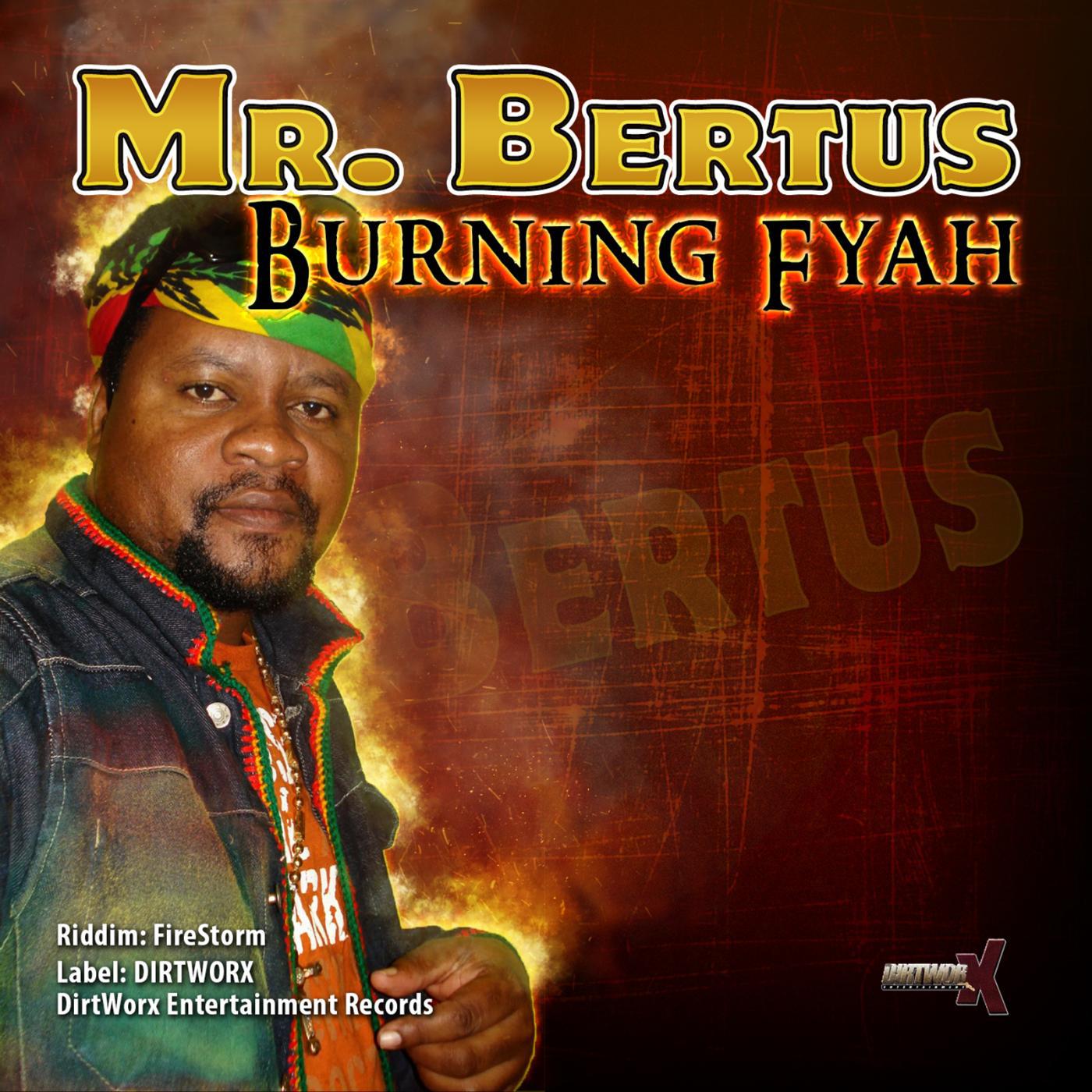 Постер альбома Burning Fyah