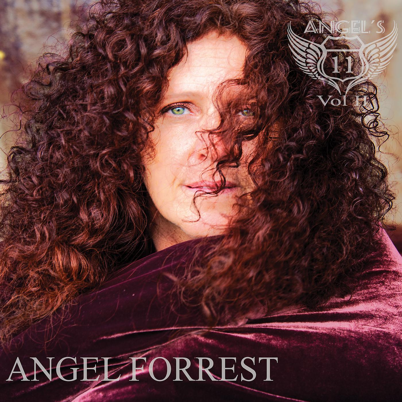 Постер альбома Angel's 11, Vol. II