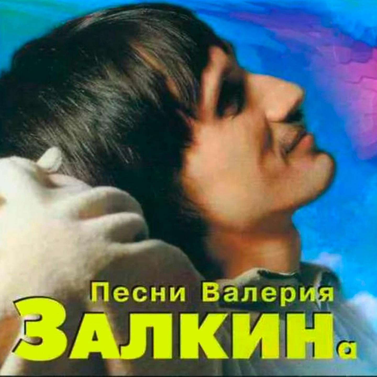 Постер альбома Песни Валерия Залкина